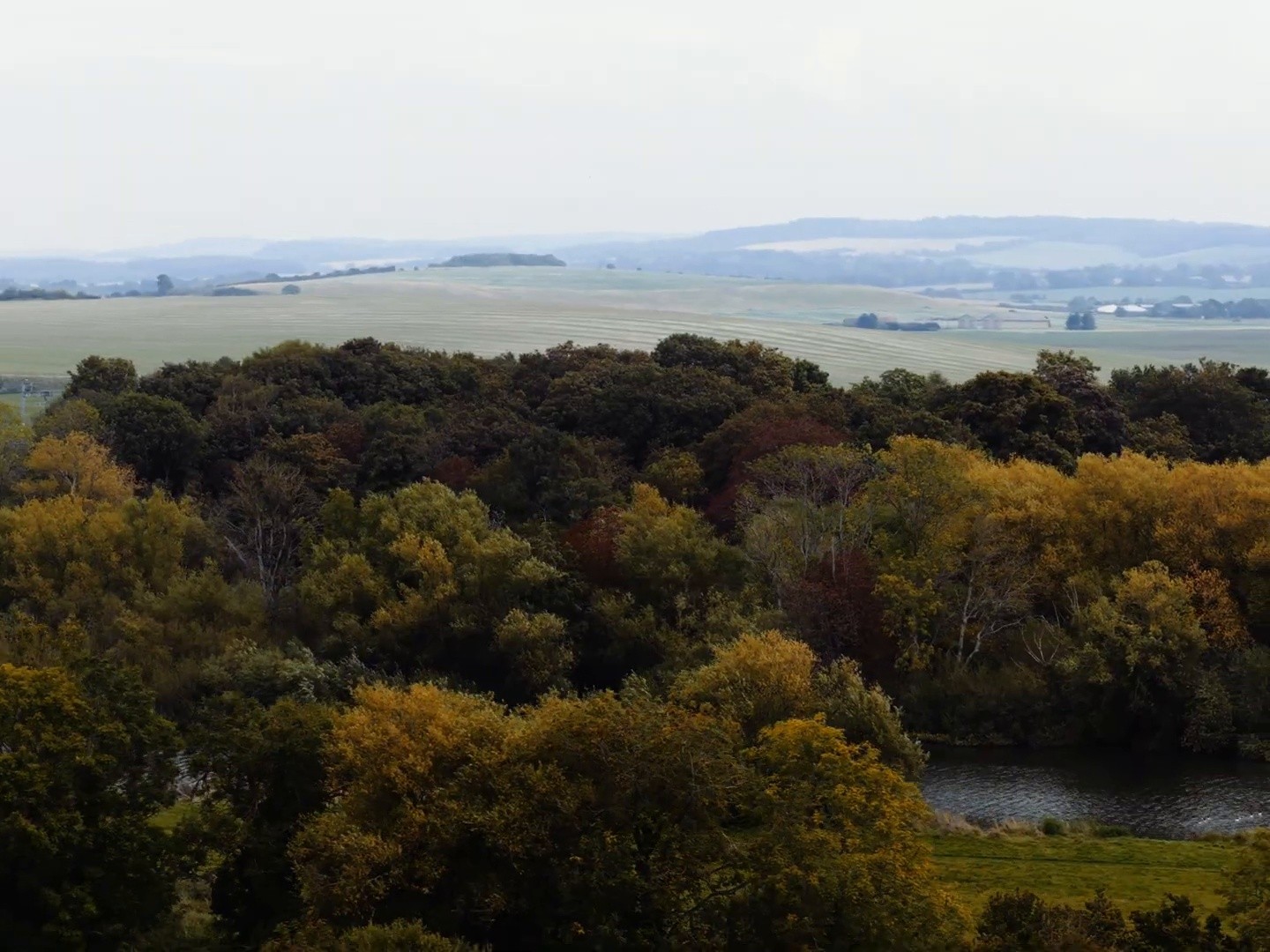 No Love (2025) —  shot,  lighting