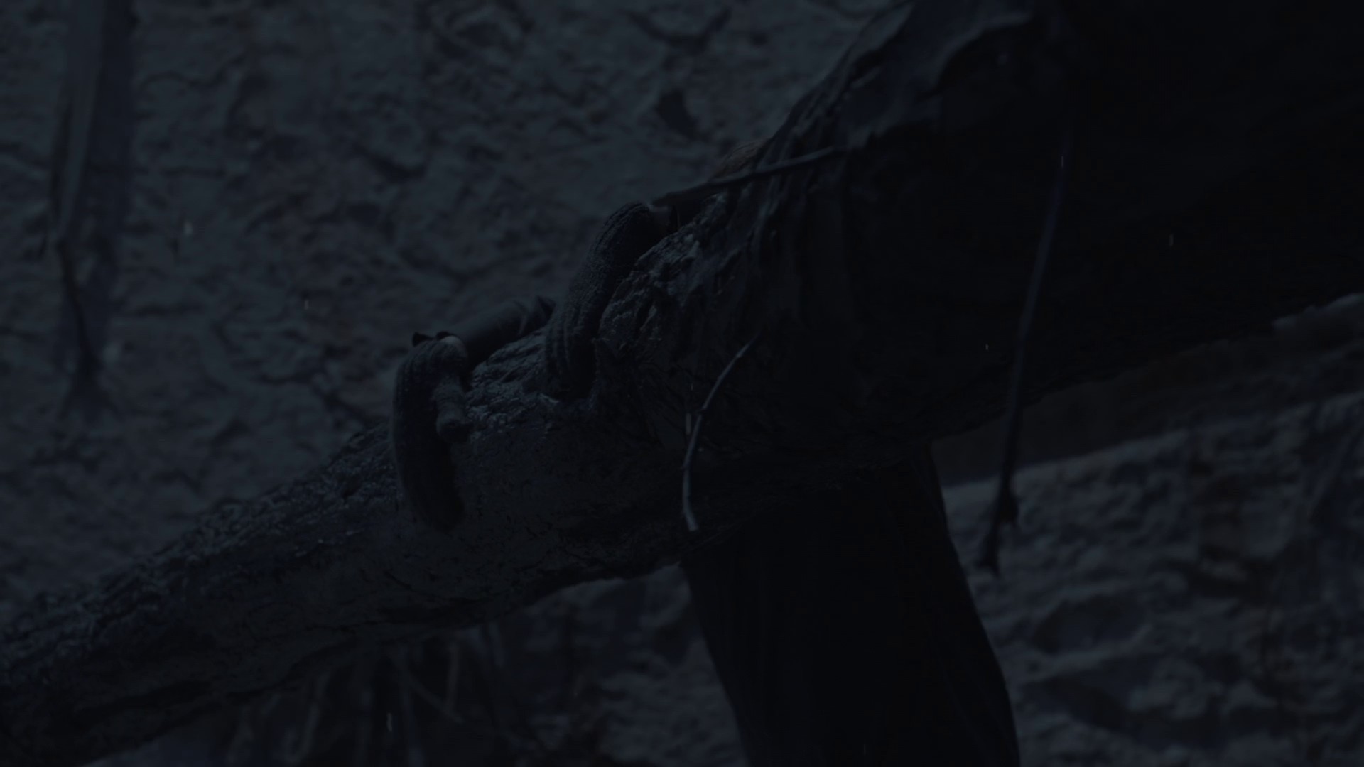 Nature's Course (2020) —  shot,  lighting