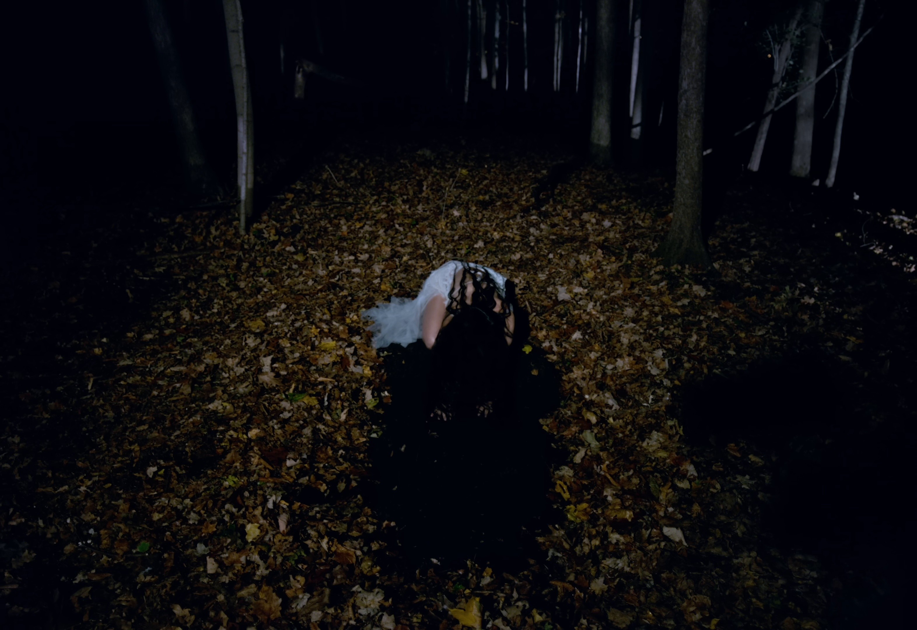 House (2025) —  shot,  lighting