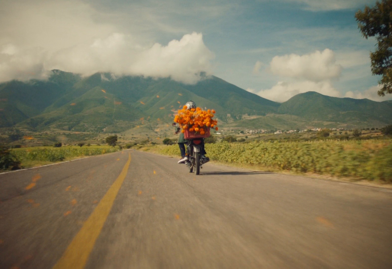 RECUÉRDAME VIVIENDO | CERVEZA VICTORIA | FERNANDO CATTORI (2024) —  shot,  lighting