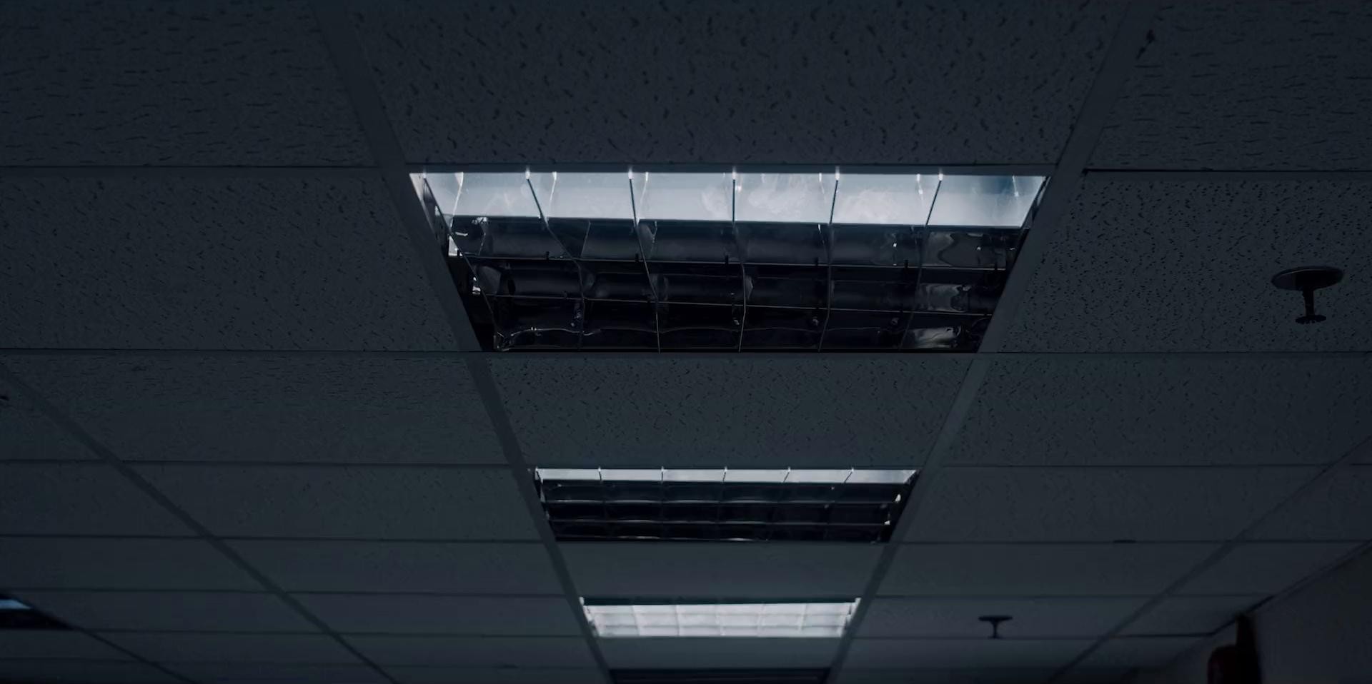 Cold blood (2020) —  shot,  lighting