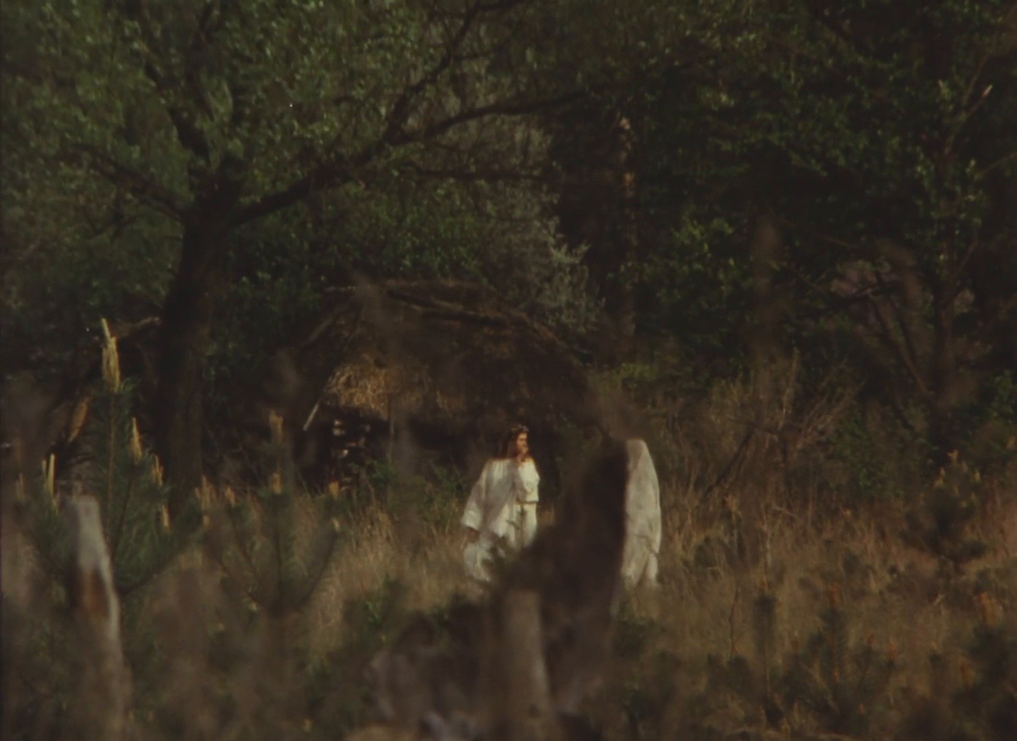 Golos travy (1995) —  shot,  lighting