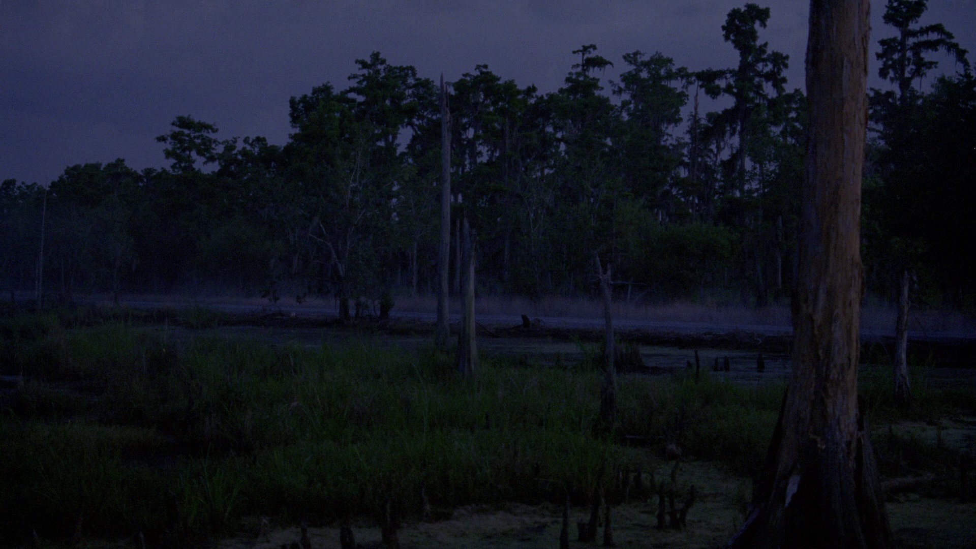 Seeing Things (2014) —  shot,  lighting