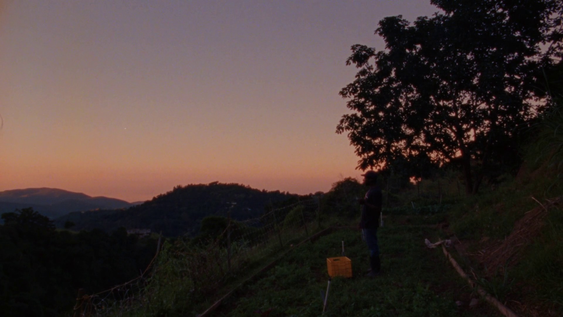 Easy skanking (2019) —  shot,  lighting