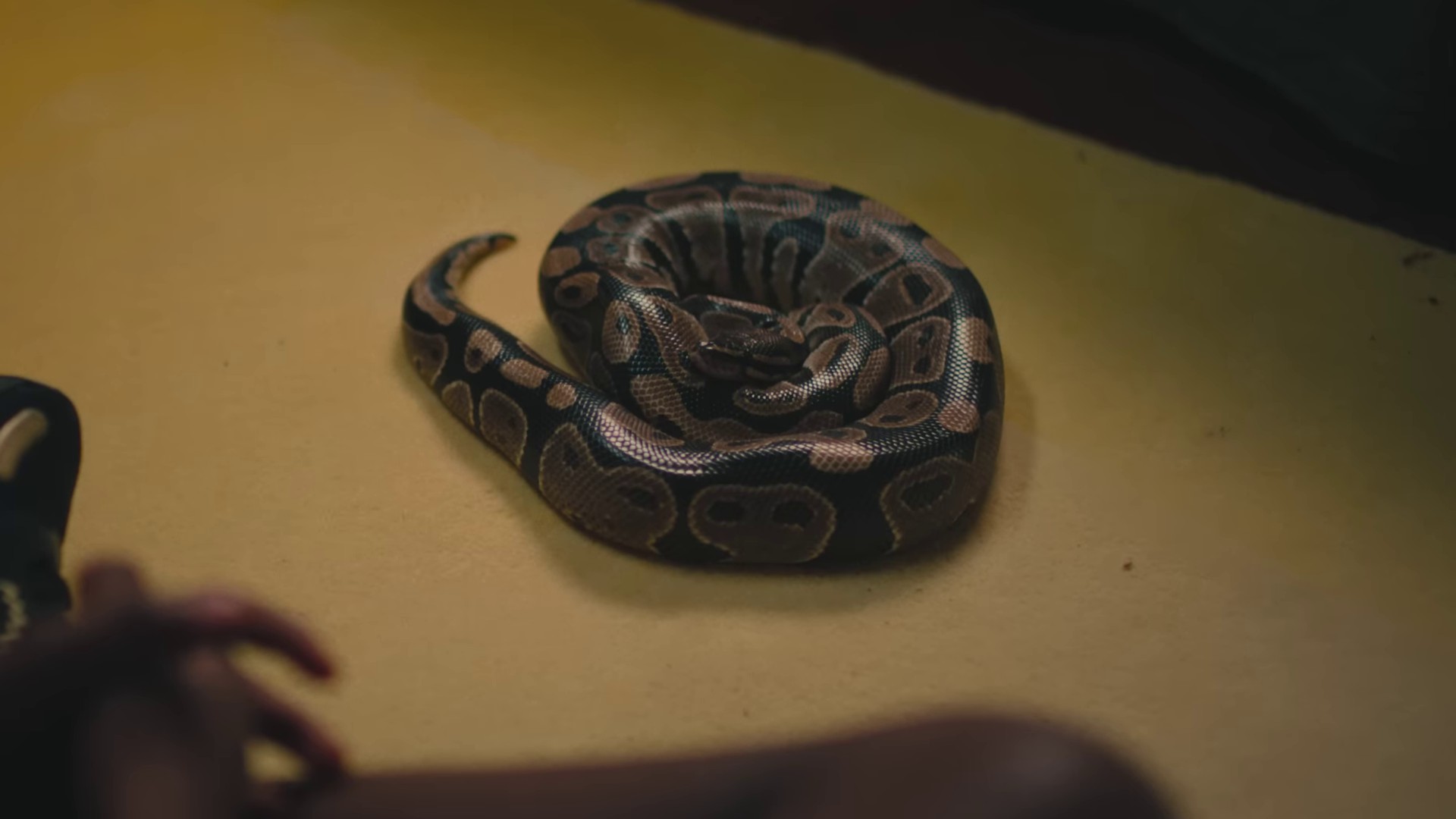 Oh U Went (2023) —  shot,  lighting