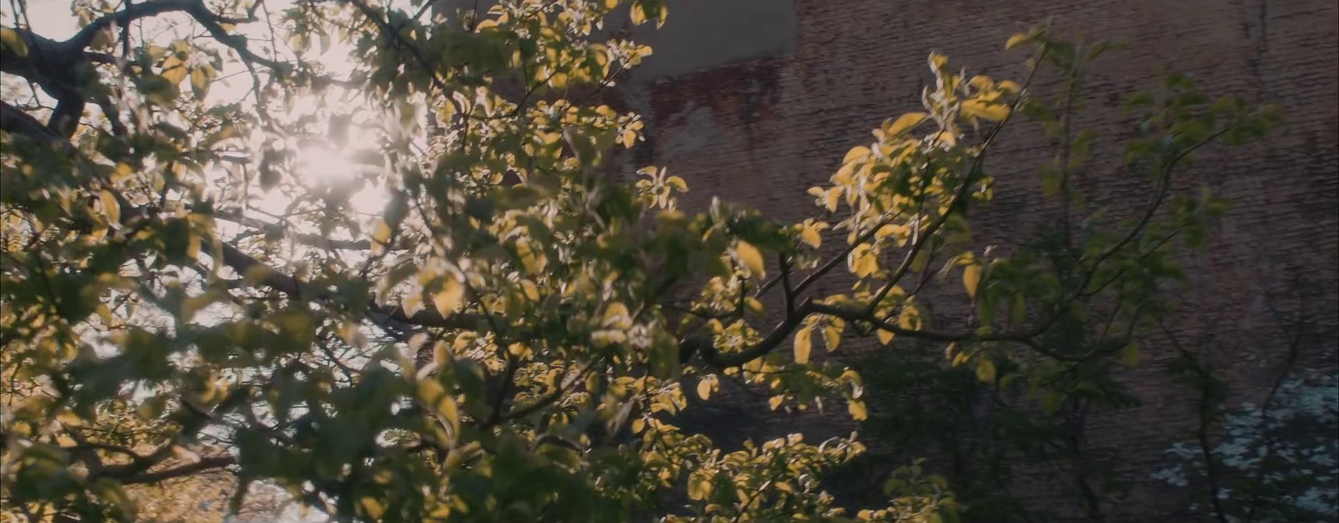 Money Longer (2016) —  shot,  lighting