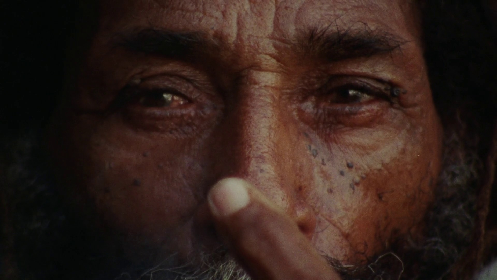 Easy skanking (2019) —  shot,  lighting