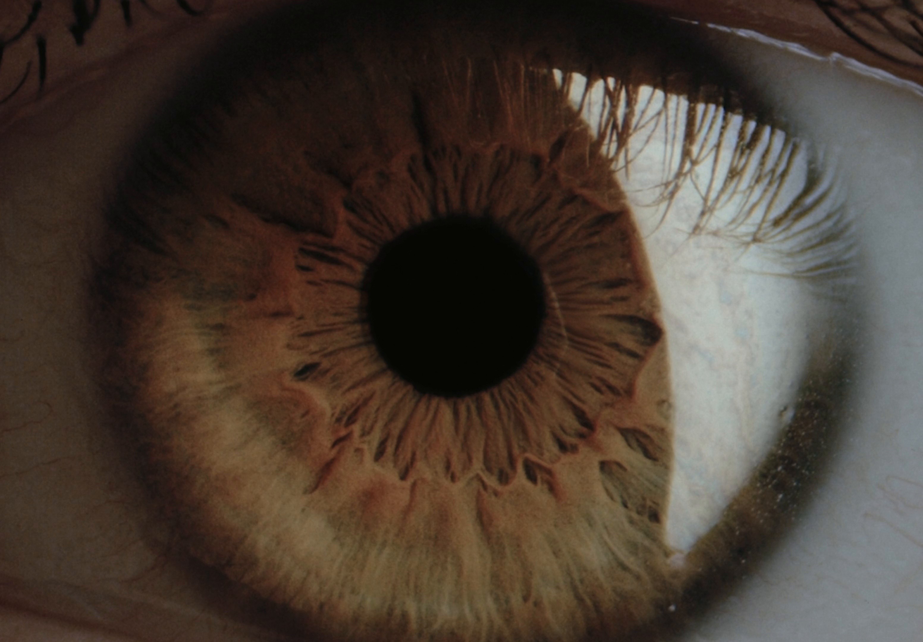 Uoc - Commercial (2024) —  shot,  lighting