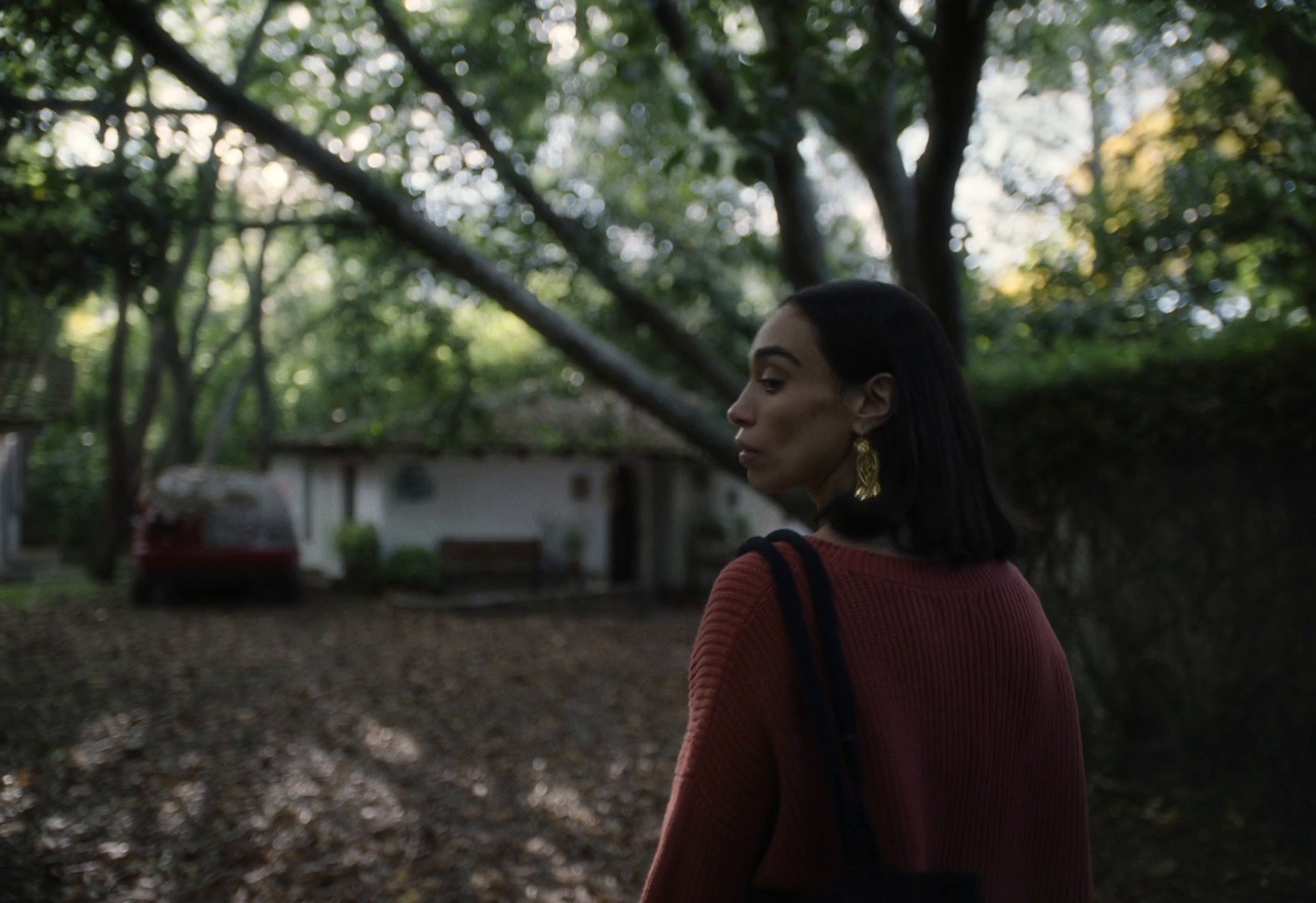 RECUÉRDAME VIVIENDO | CERVEZA VICTORIA | FERNANDO CATTORI (2024) —  shot,  lighting