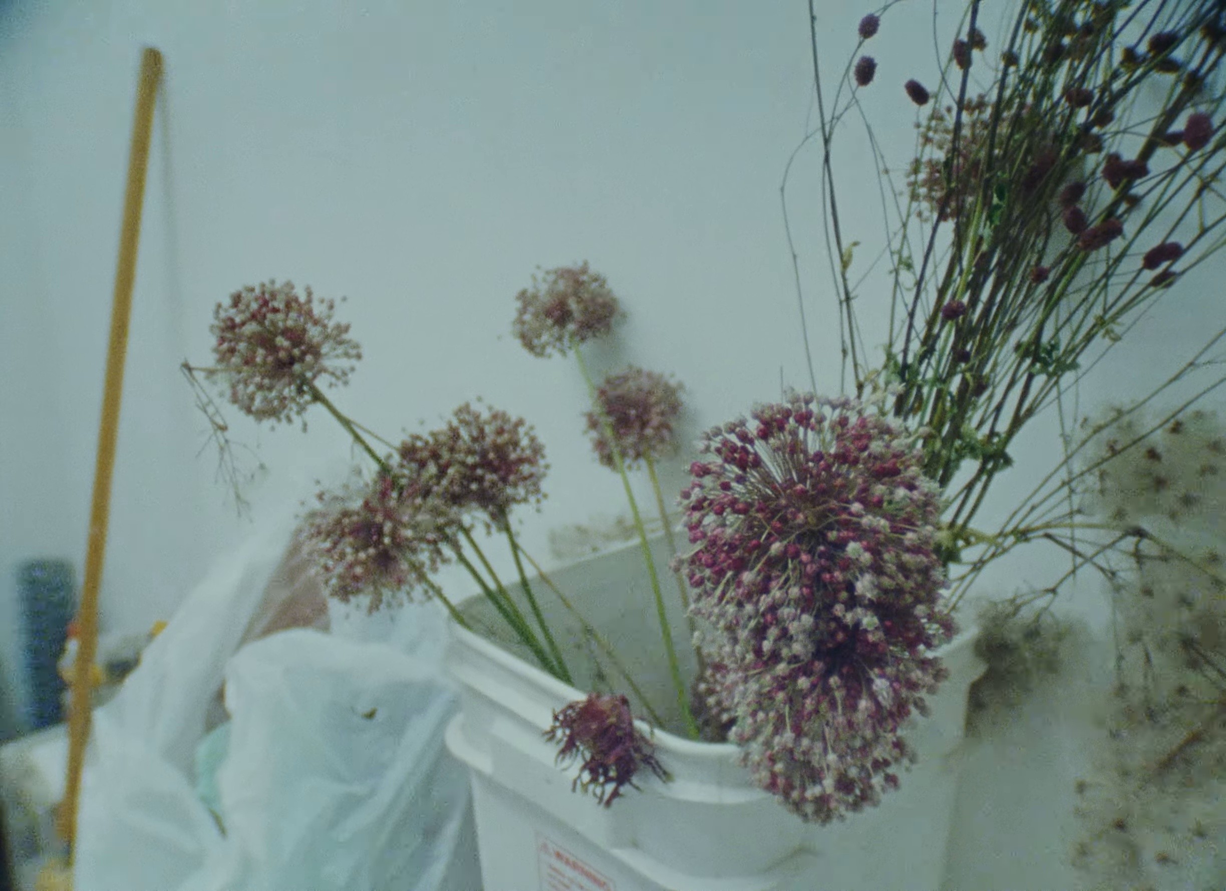 Let Me Know (2024) —  shot,  lighting