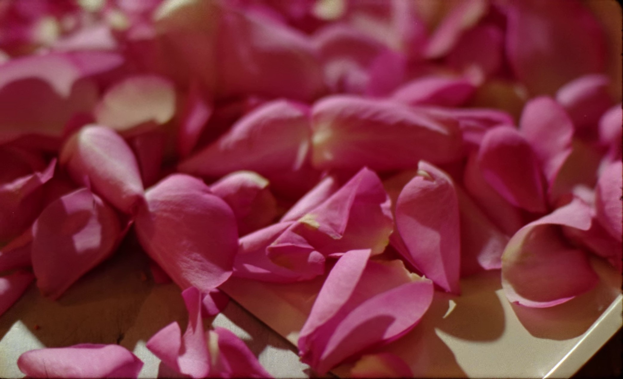 Liminal Space (2023) —  shot,  lighting