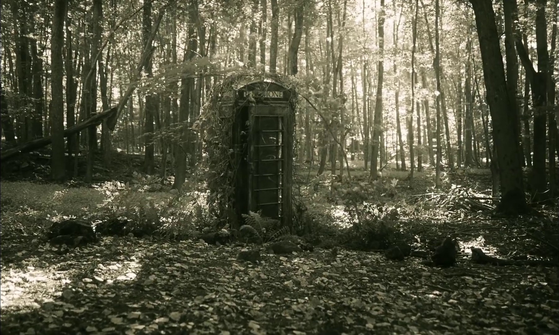 Hello (2015) —  shot,  lighting