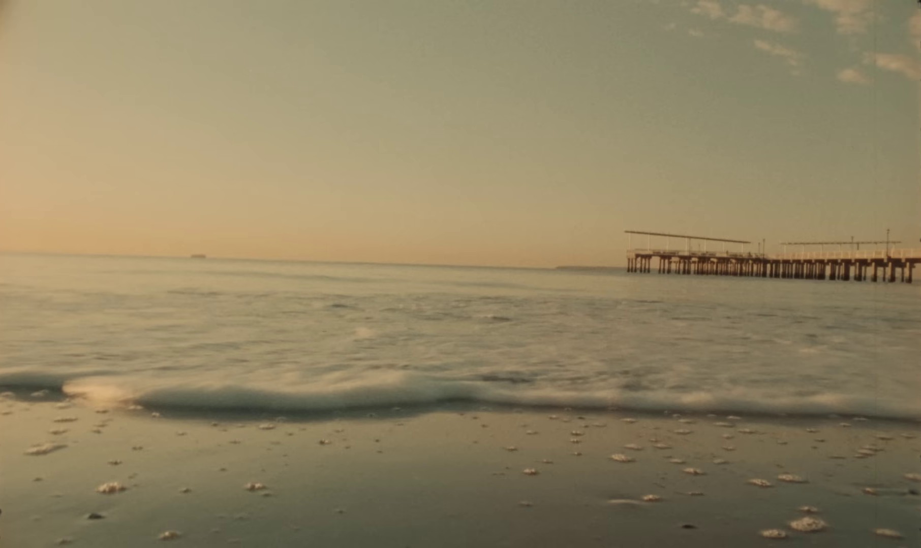 Jasmine (2023) —  shot,  lighting