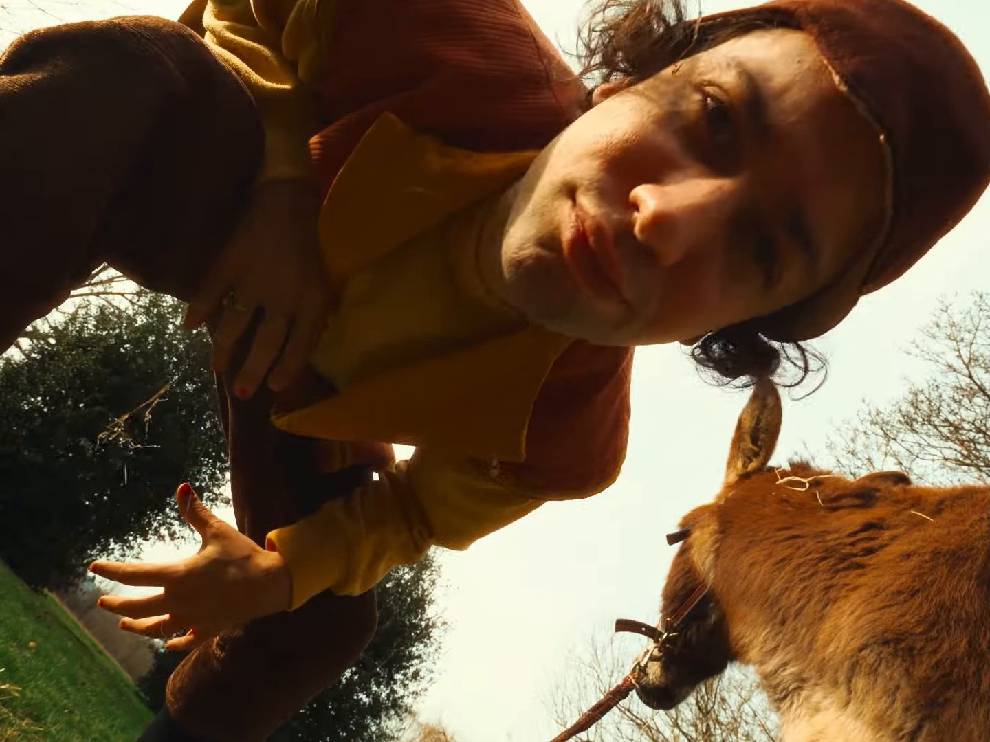 Le roi Soleil (2025) —  shot,  lighting