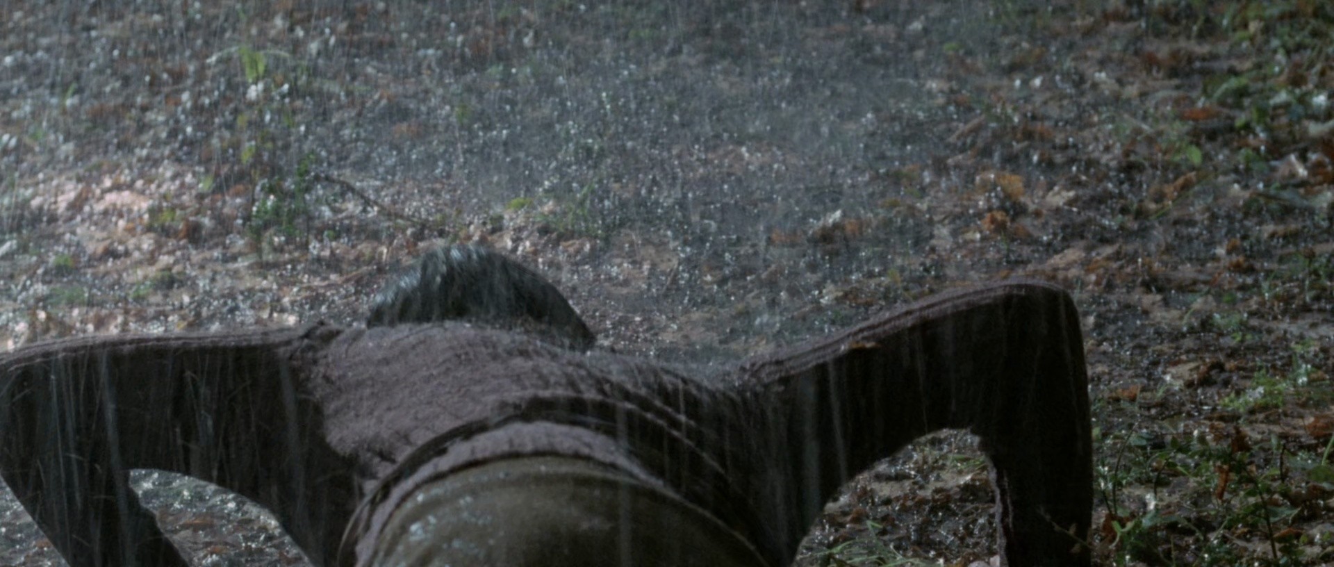 The Strange Vice of Mrs. Wardh (1972) —  shot,  lighting