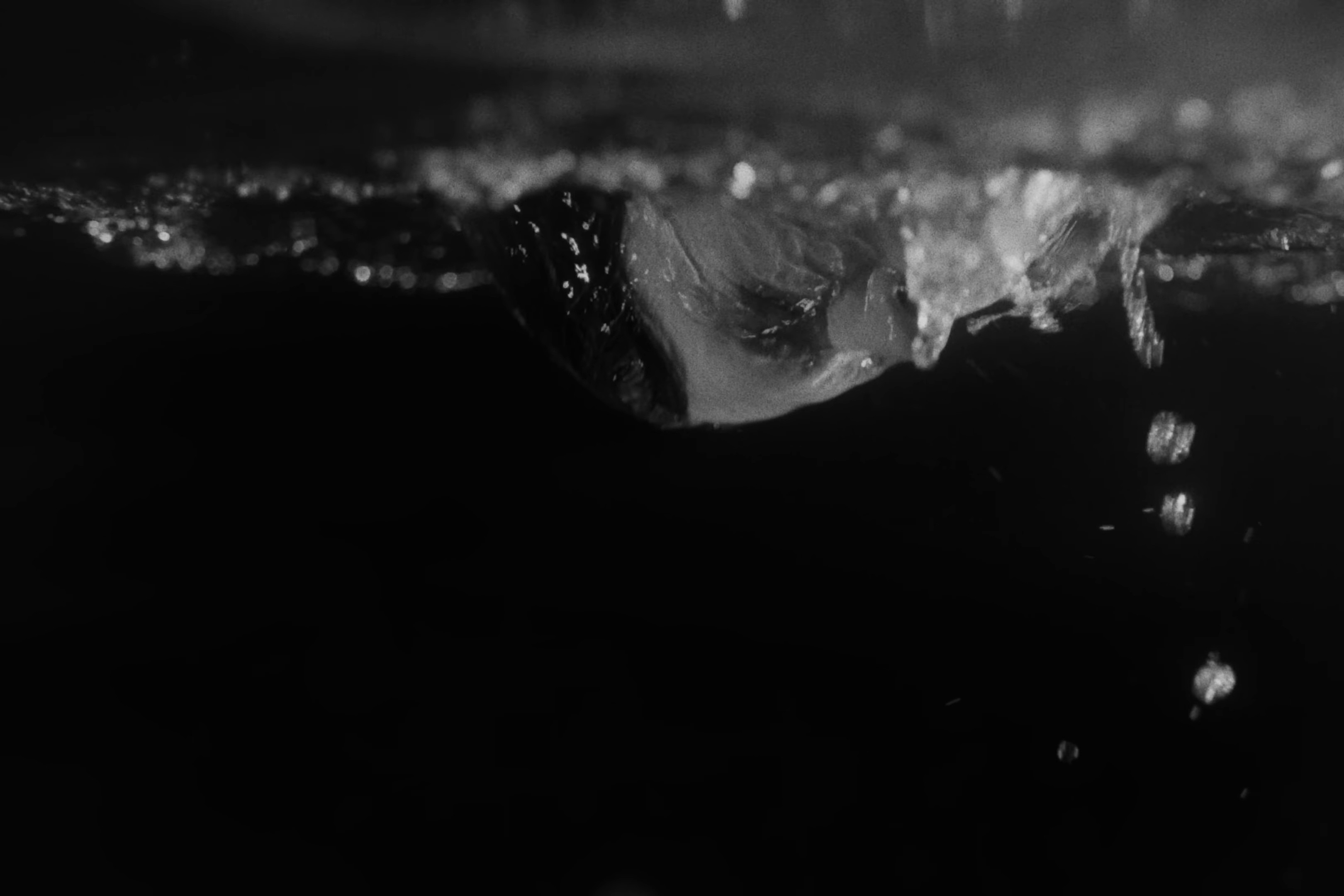 Mar de Coral (2025) —  shot,  lighting