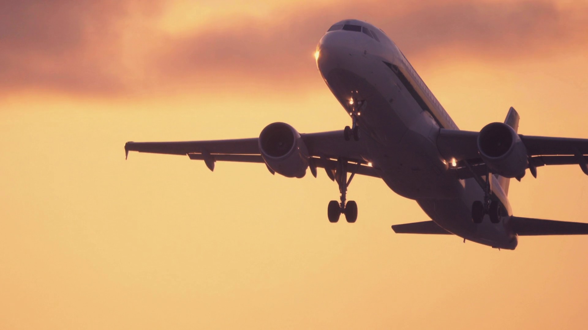 Now U Do (2023) —  shot,  lighting