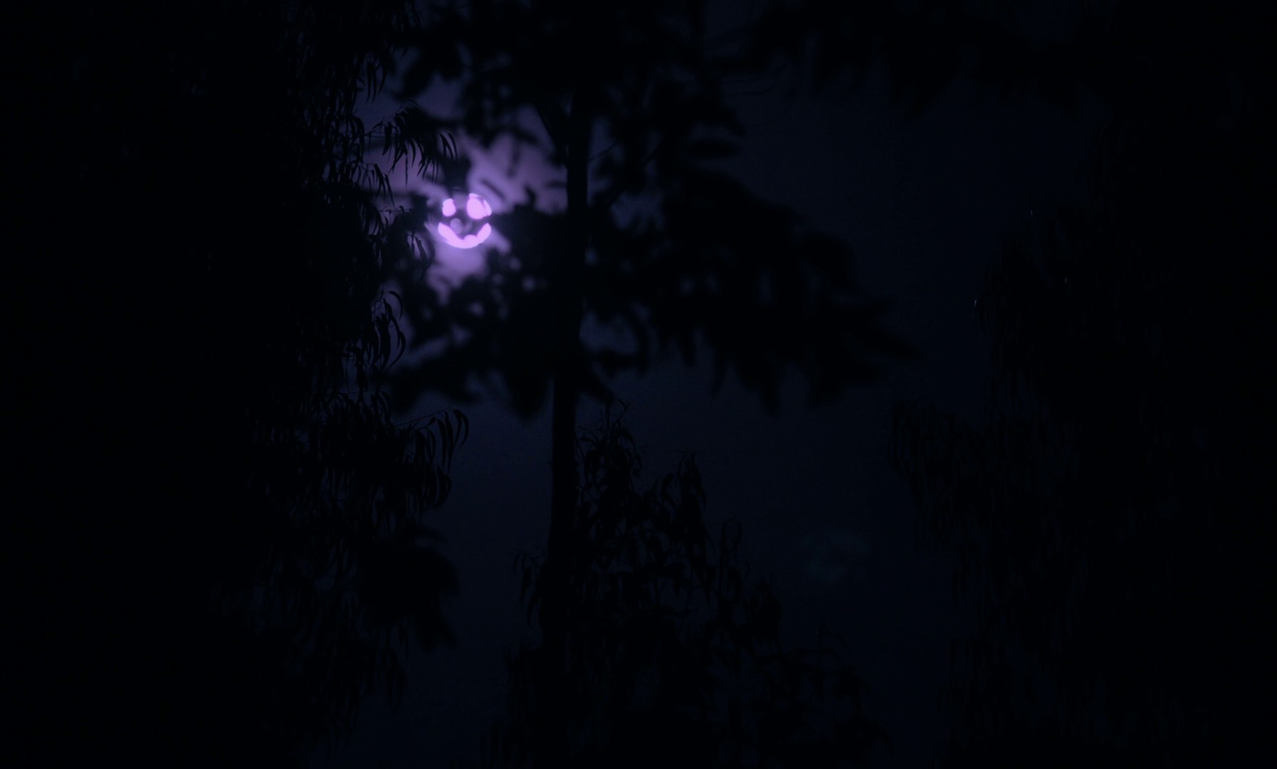 Neptune Frost (2022) —  shot,  lighting