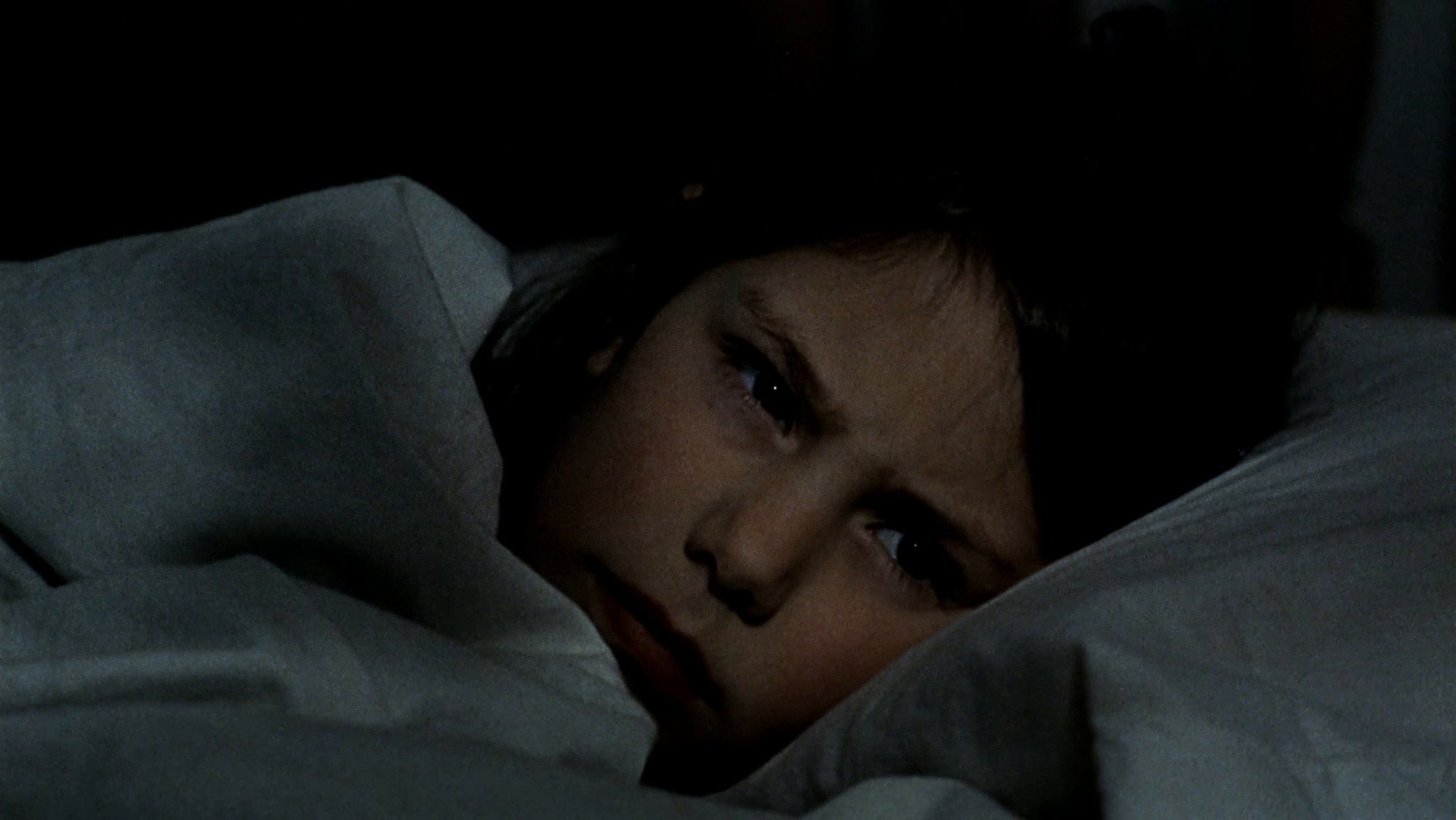 The Spirit of the Beehive (1975) —  shot,  lighting