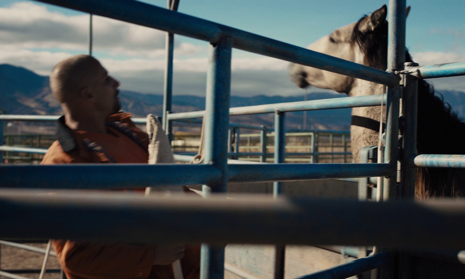 The Mustang (2019) —  shot,  lighting