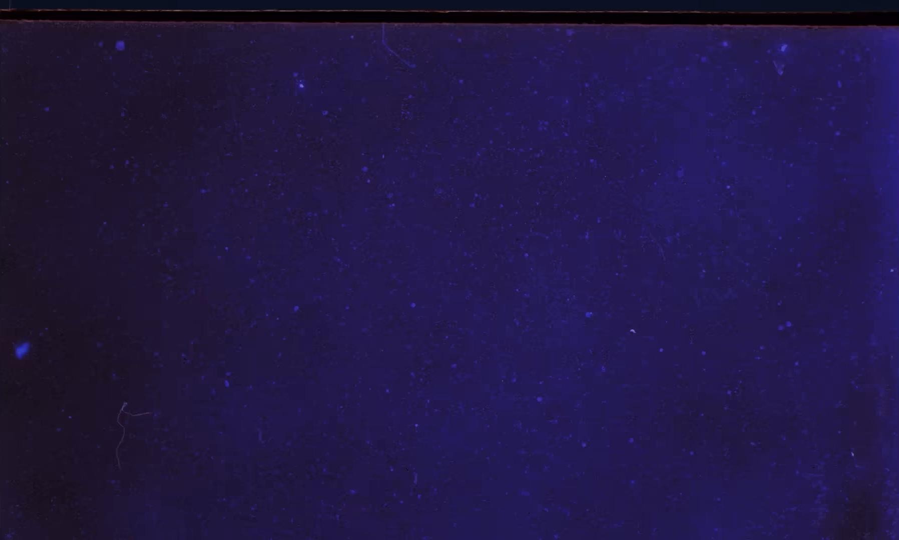 Il morso di Tyson (2024) —  shot,  lighting