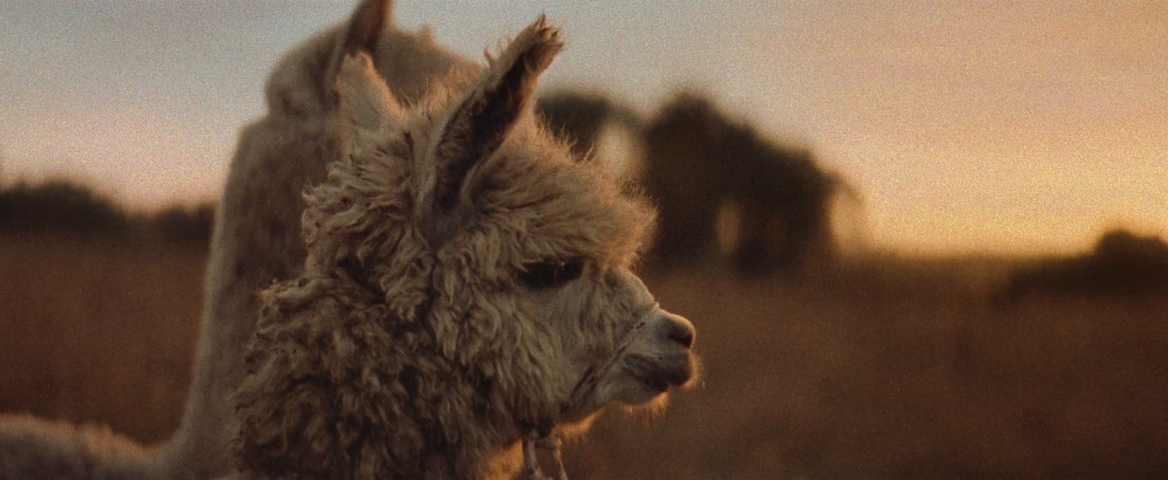 Wells Fargo | Dream Team (2024) —  shot,  lighting