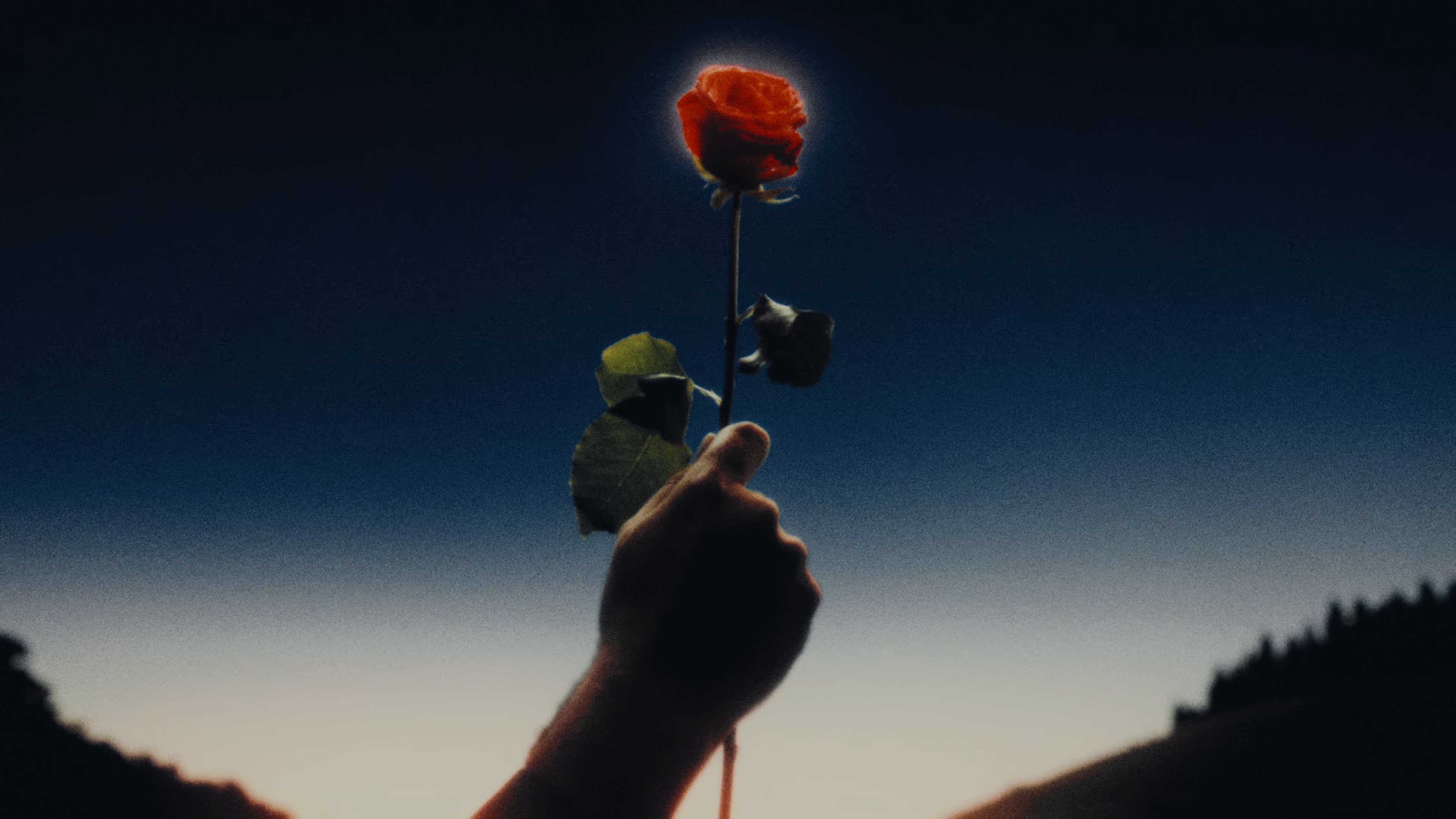 Naïf de Coeur (2025) —  shot,  lighting