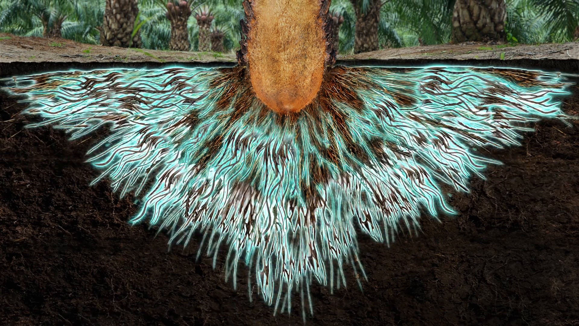 Yara Mila (2017) —  shot,  lighting