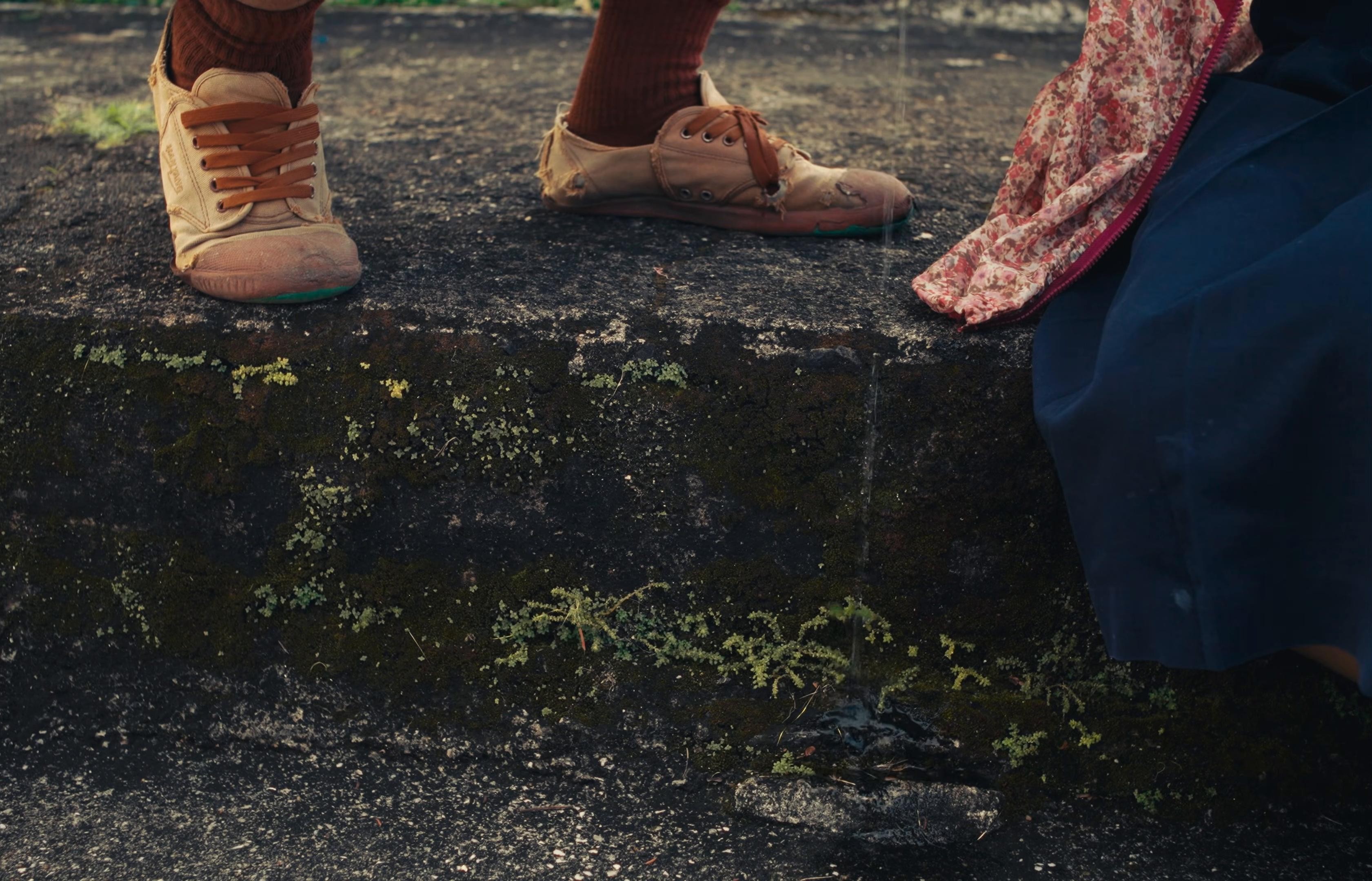 First dog (2025) —  shot,  lighting