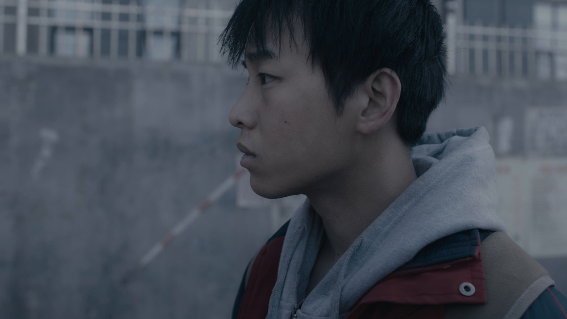 An Elephant Sitting Still (2019) —  shot,  lighting