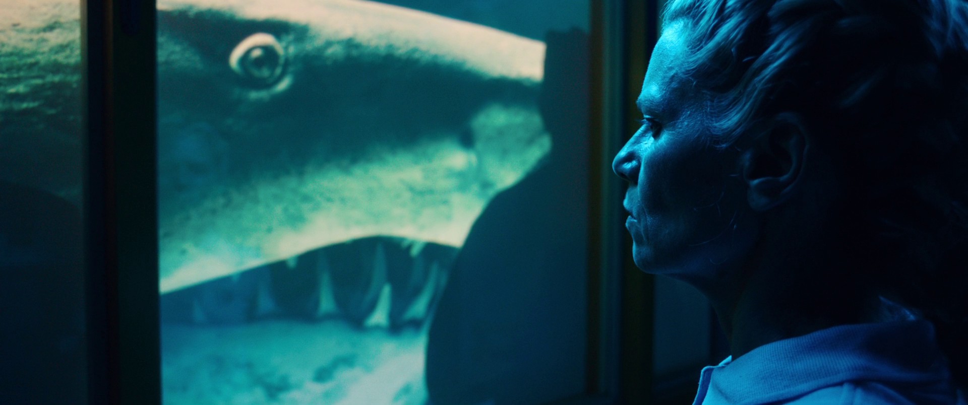 Year of the Shark (2022) —  shot,  lighting