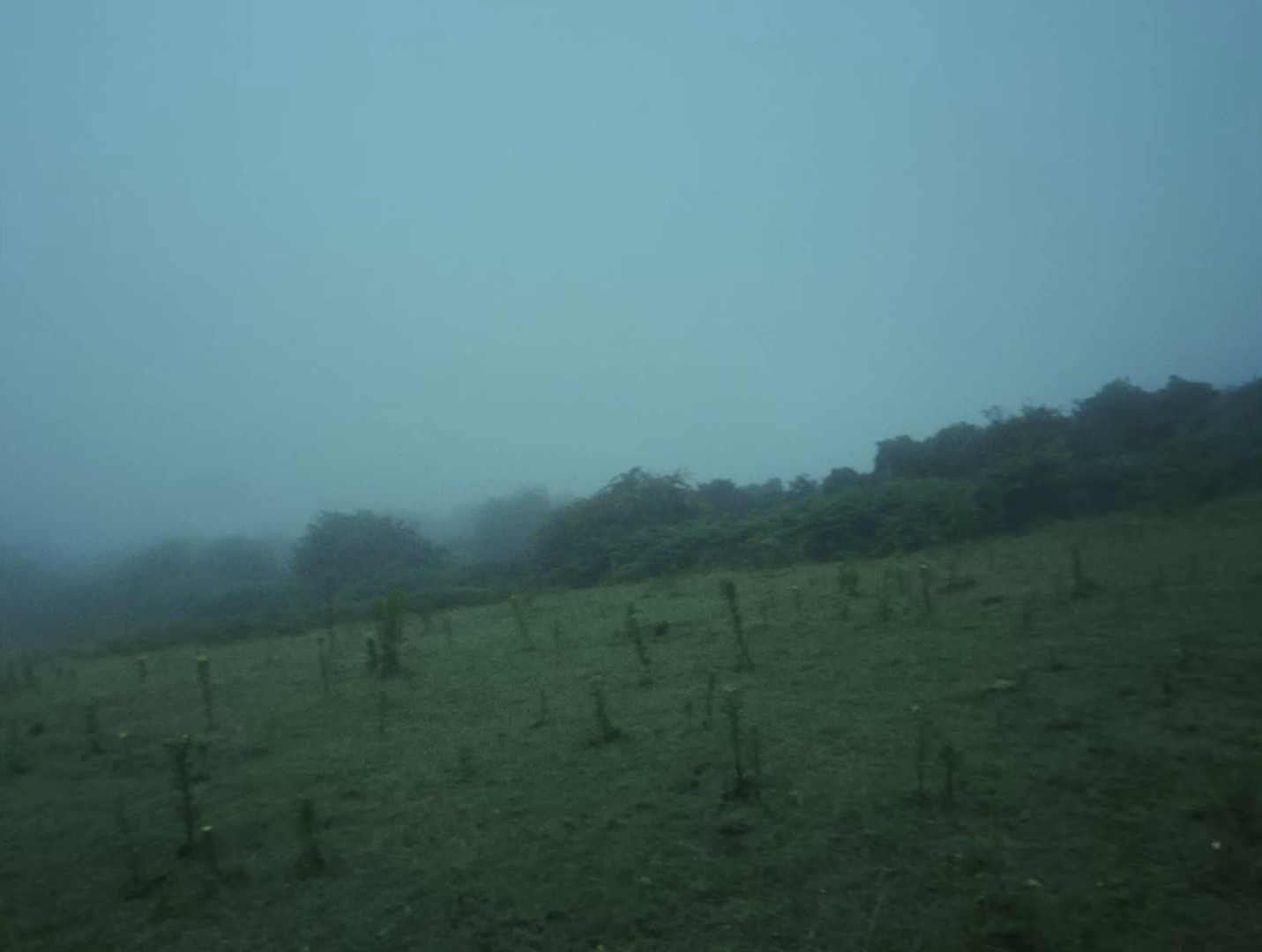 DISCONNECT! (2024) —  shot,  lighting