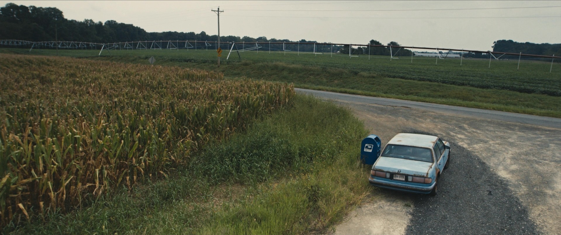 Blue Ruin (2013) —  shot,  lighting