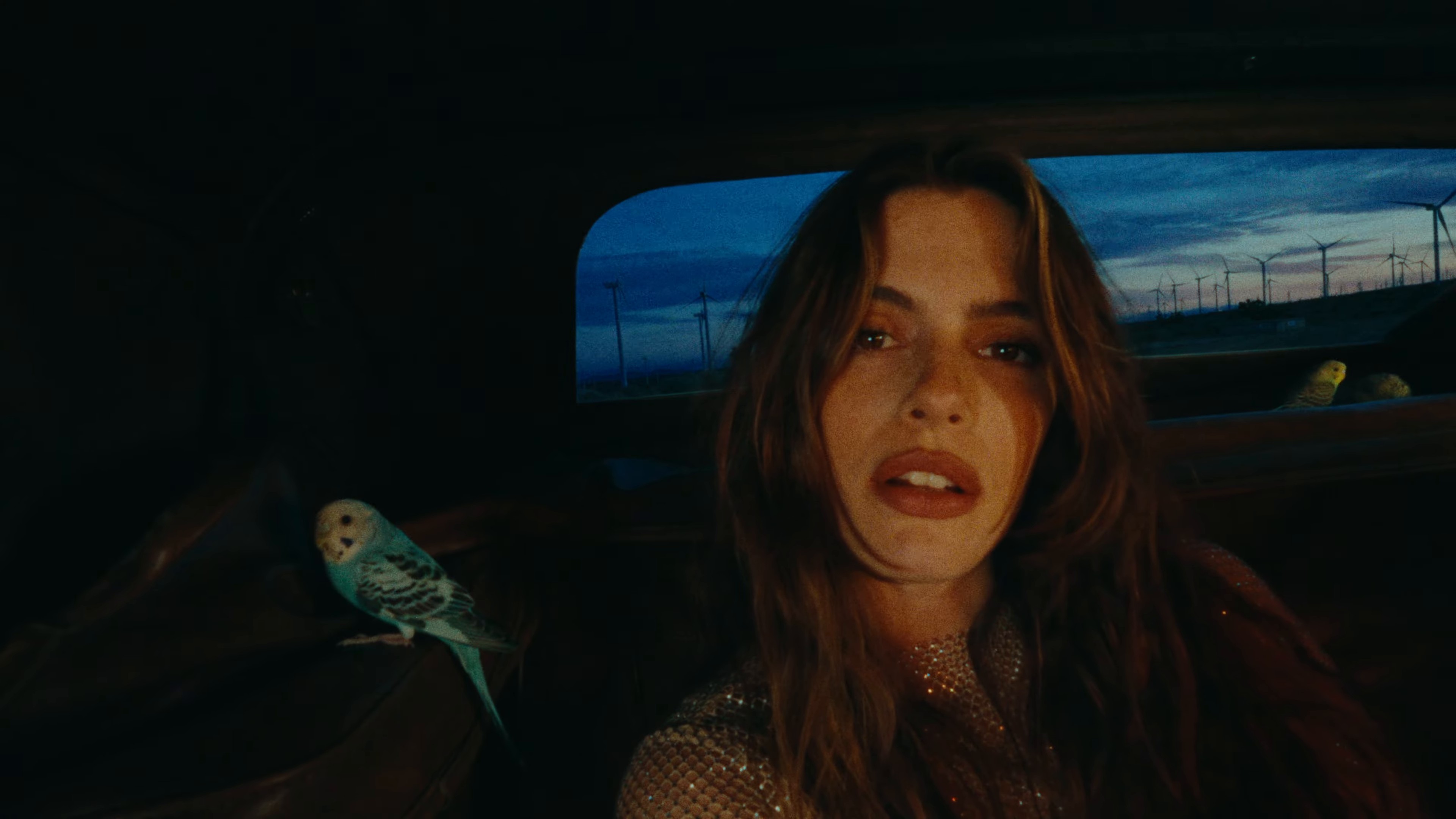 Abejas a la Miel (2024) —  shot,  lighting