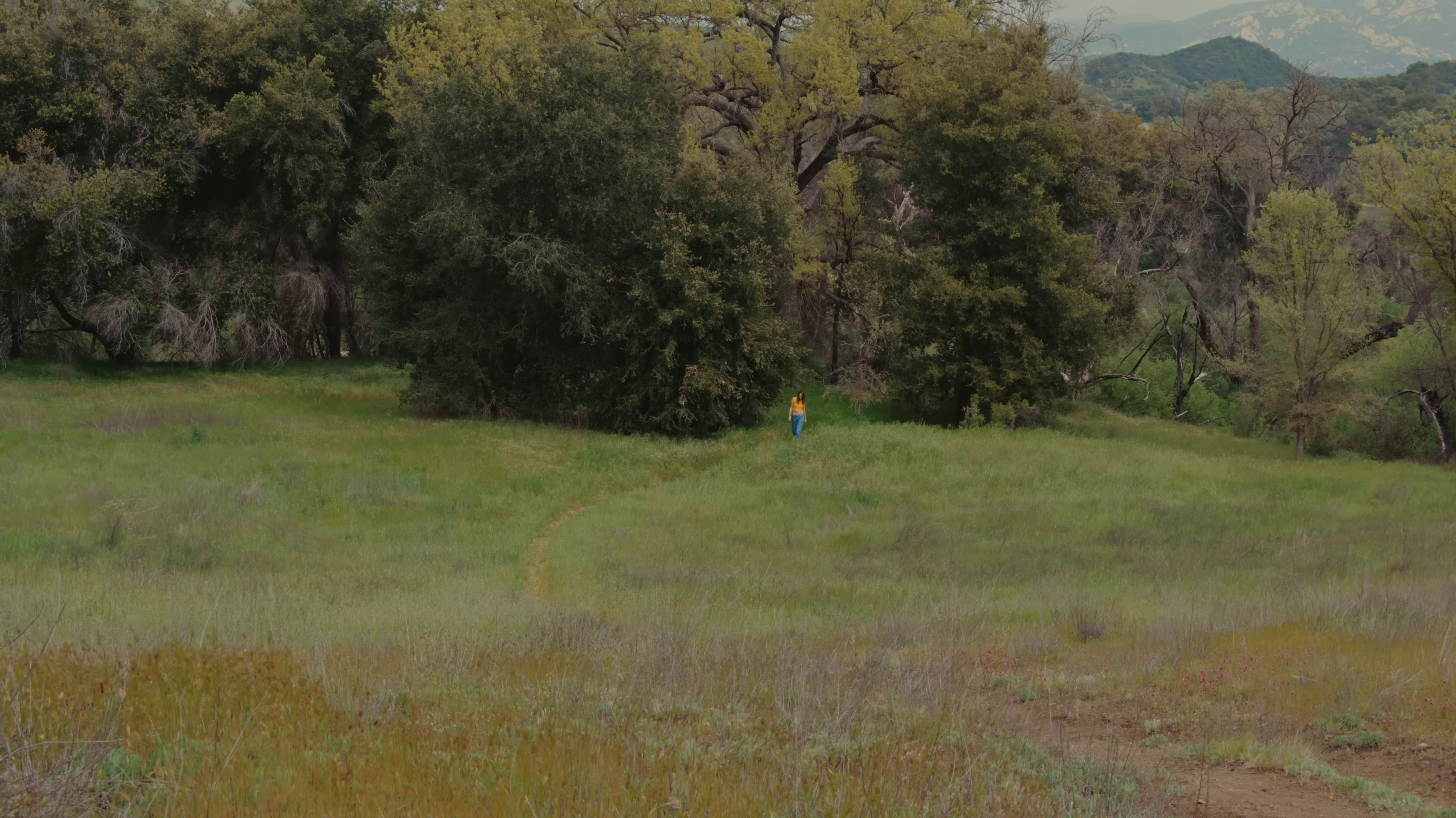 I Don't Wanna Dance (2024) —  shot,  lighting