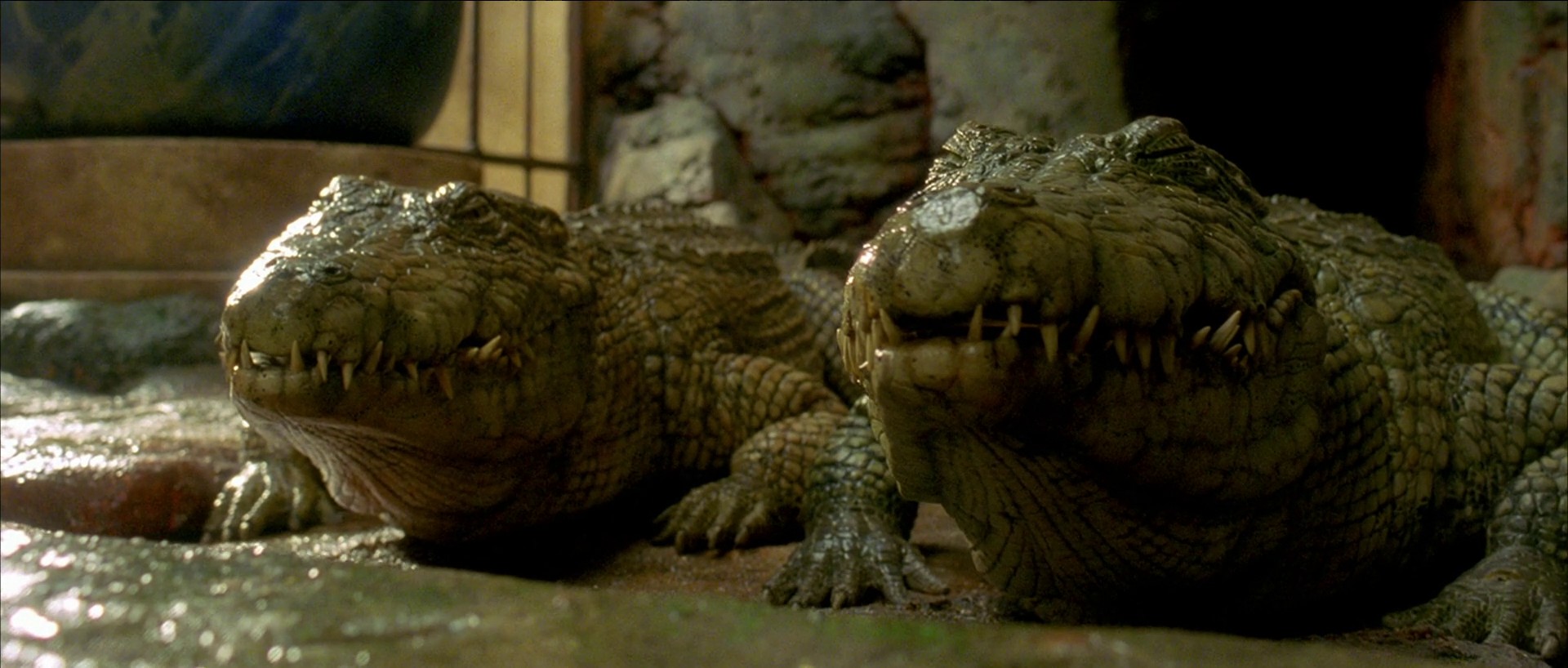 Asterix & Obelix: Mission Cleopatra (2002) —  shot,  lighting