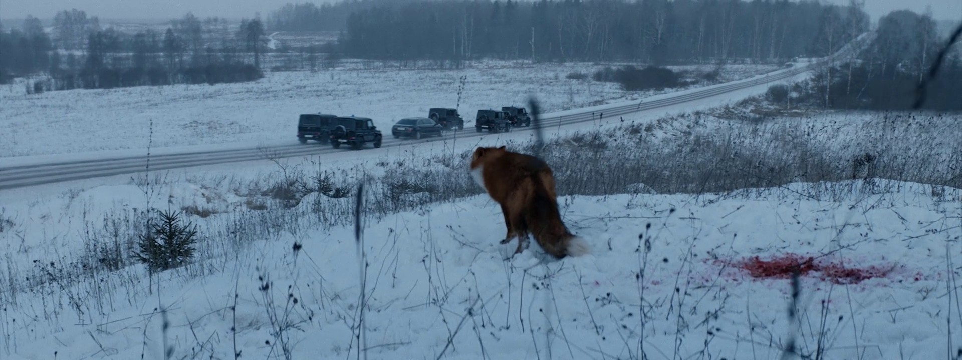 You're Born (2020) —  shot,  lighting