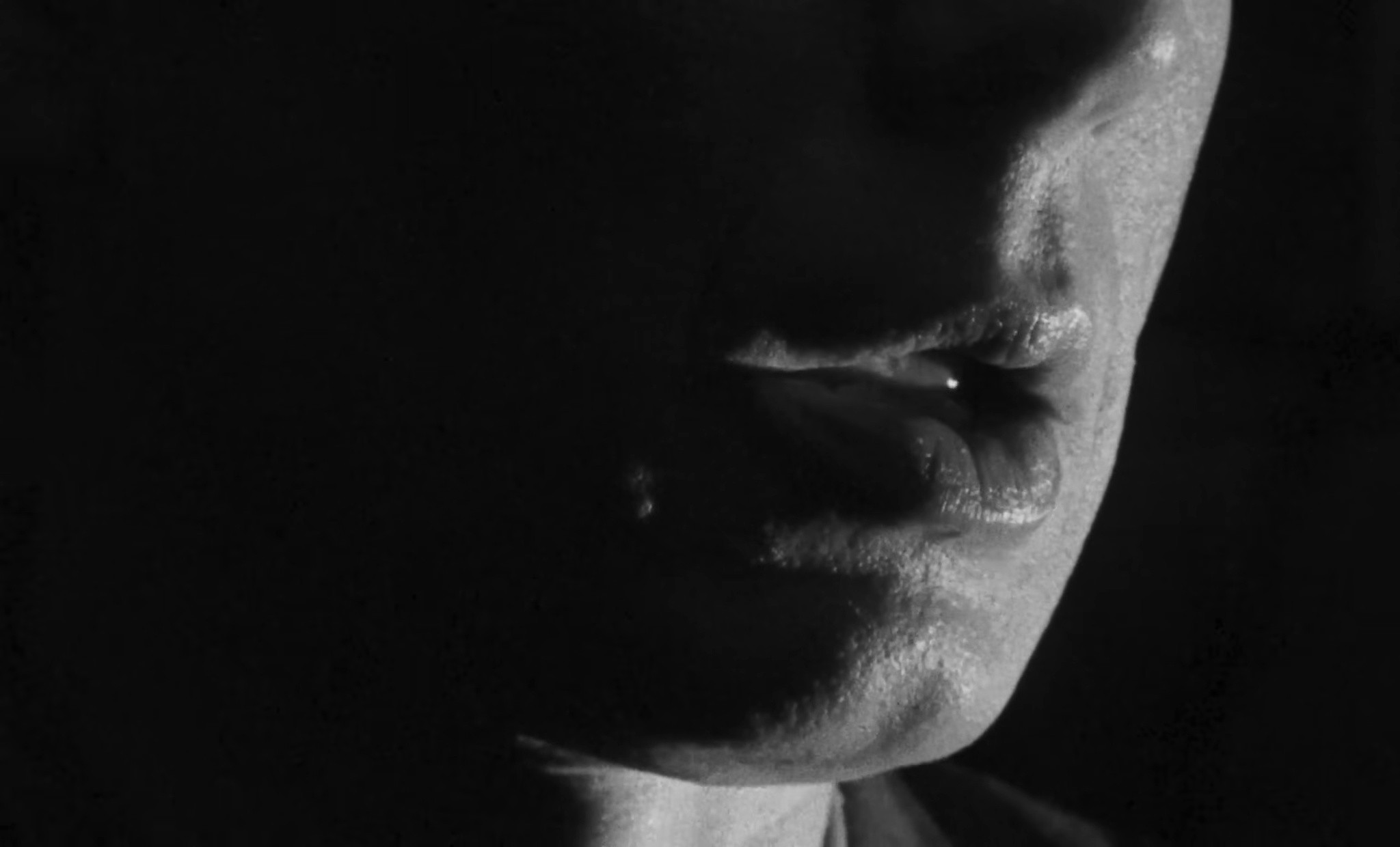 Night Or Day (2024) —  shot,  lighting