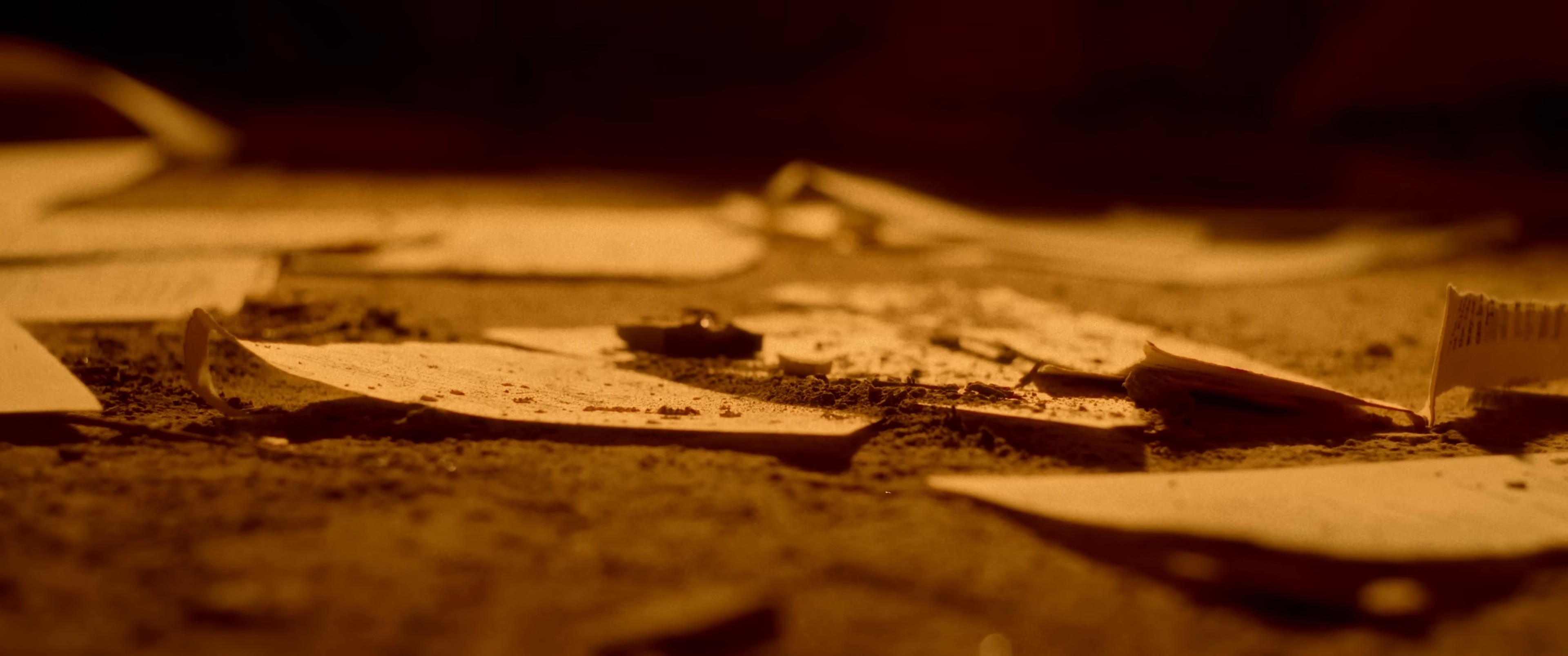 Saoirse  (2025) —  shot,  lighting