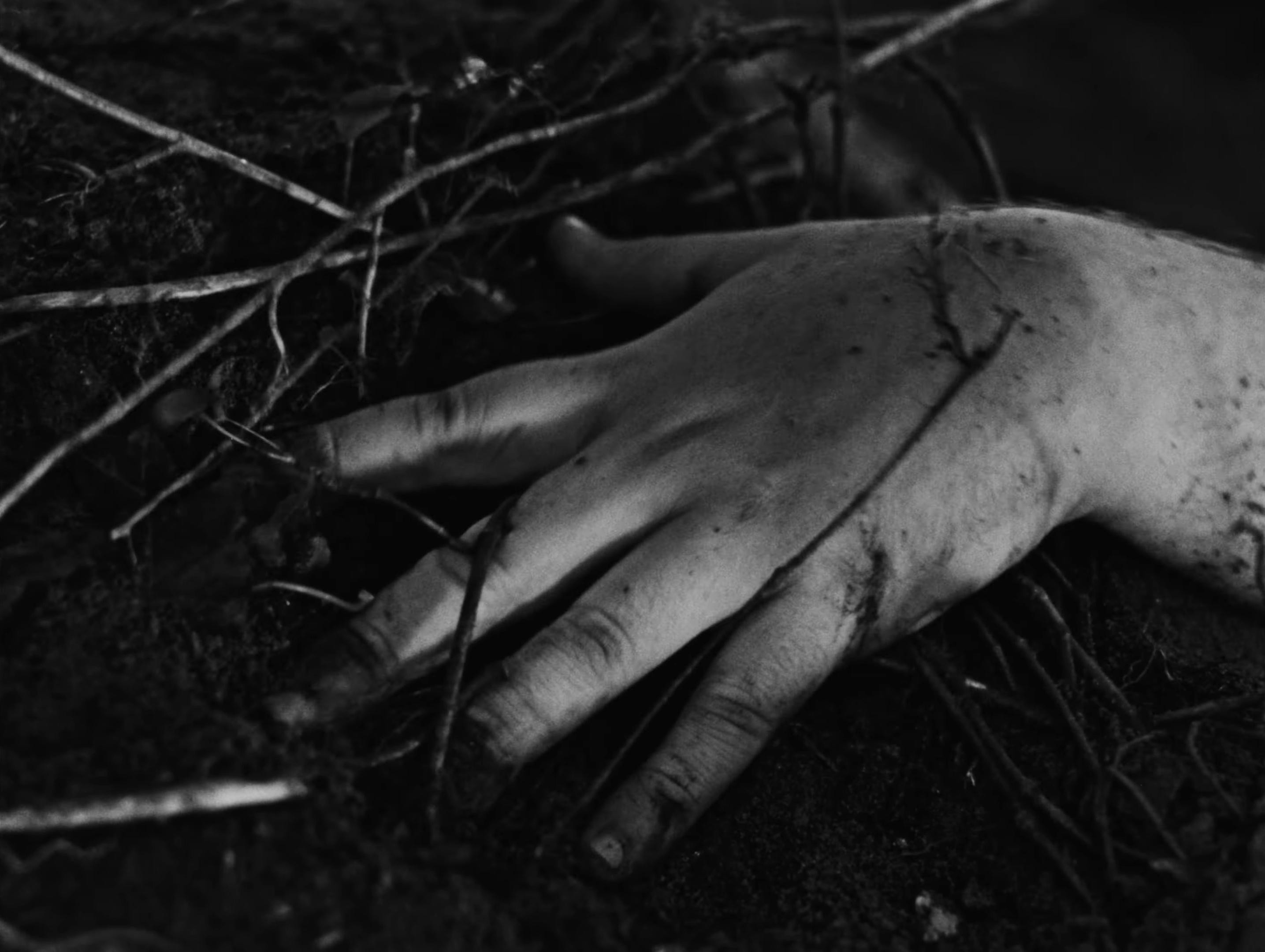 L’EFFORT DE FAIRE PT.1 (2024) —  shot,  lighting