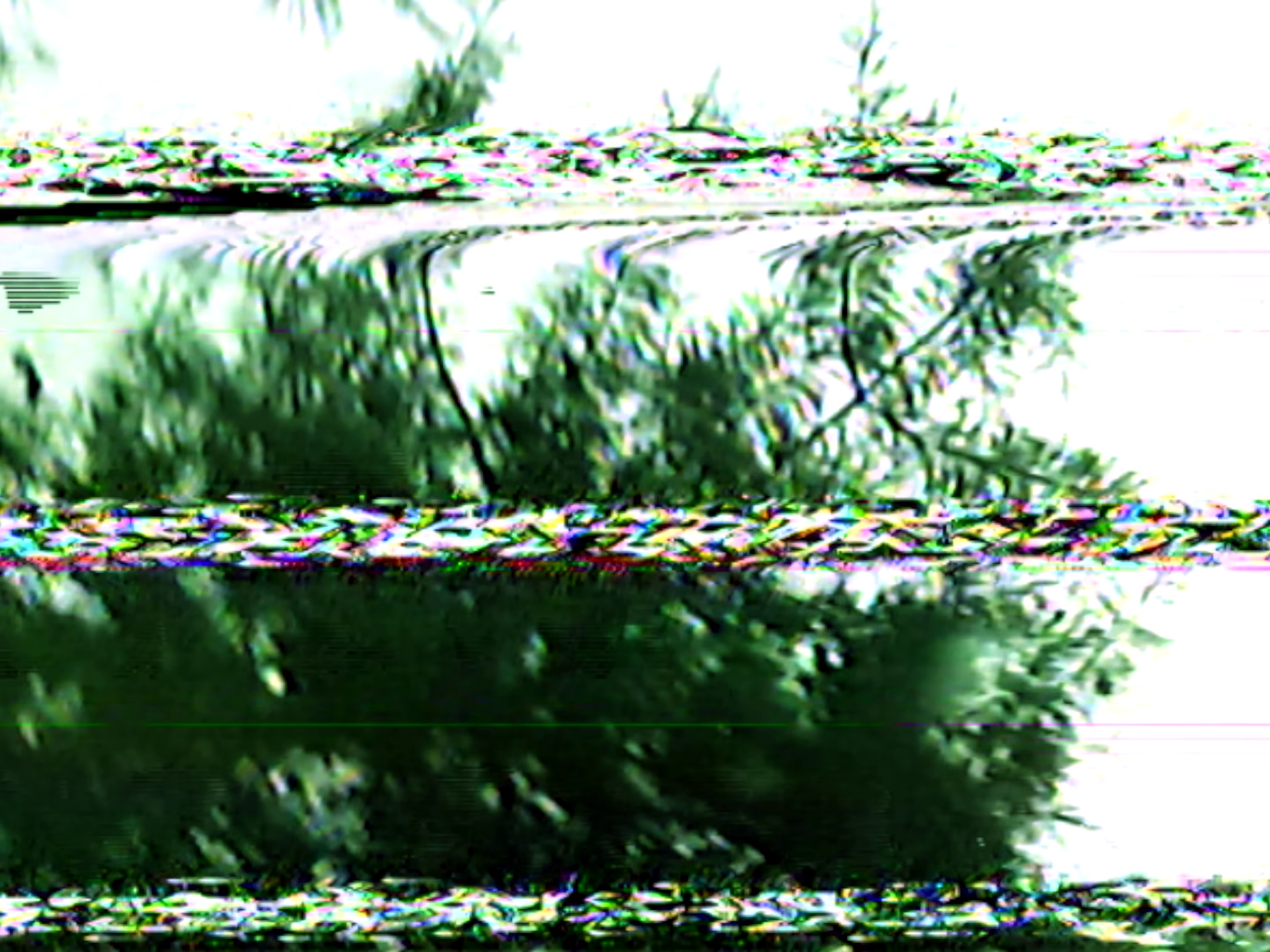 Flirt With Death (2023) —  shot,  lighting