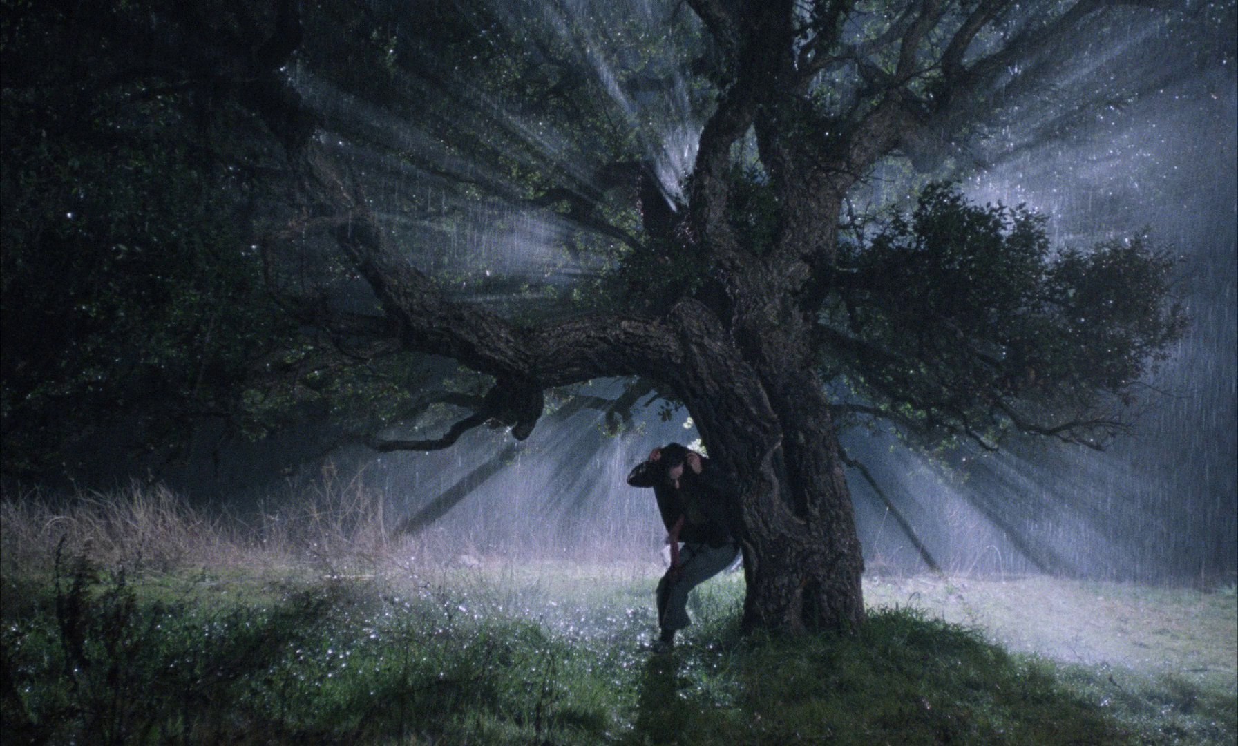 The Voice of the Moon (1990) —  shot,  lighting