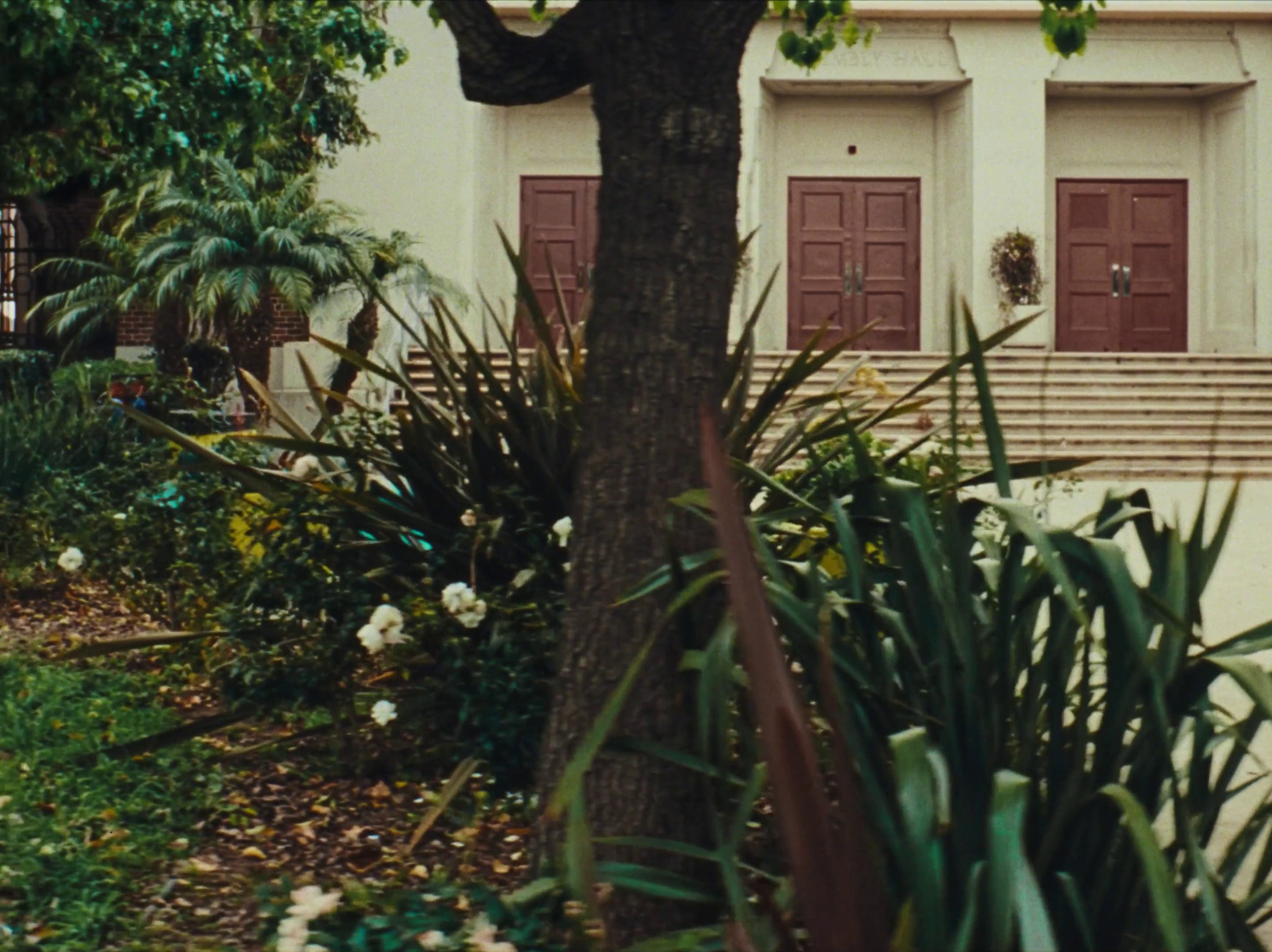 Welcome To Starface High School | Director's Cut (2023) —  shot,  lighting