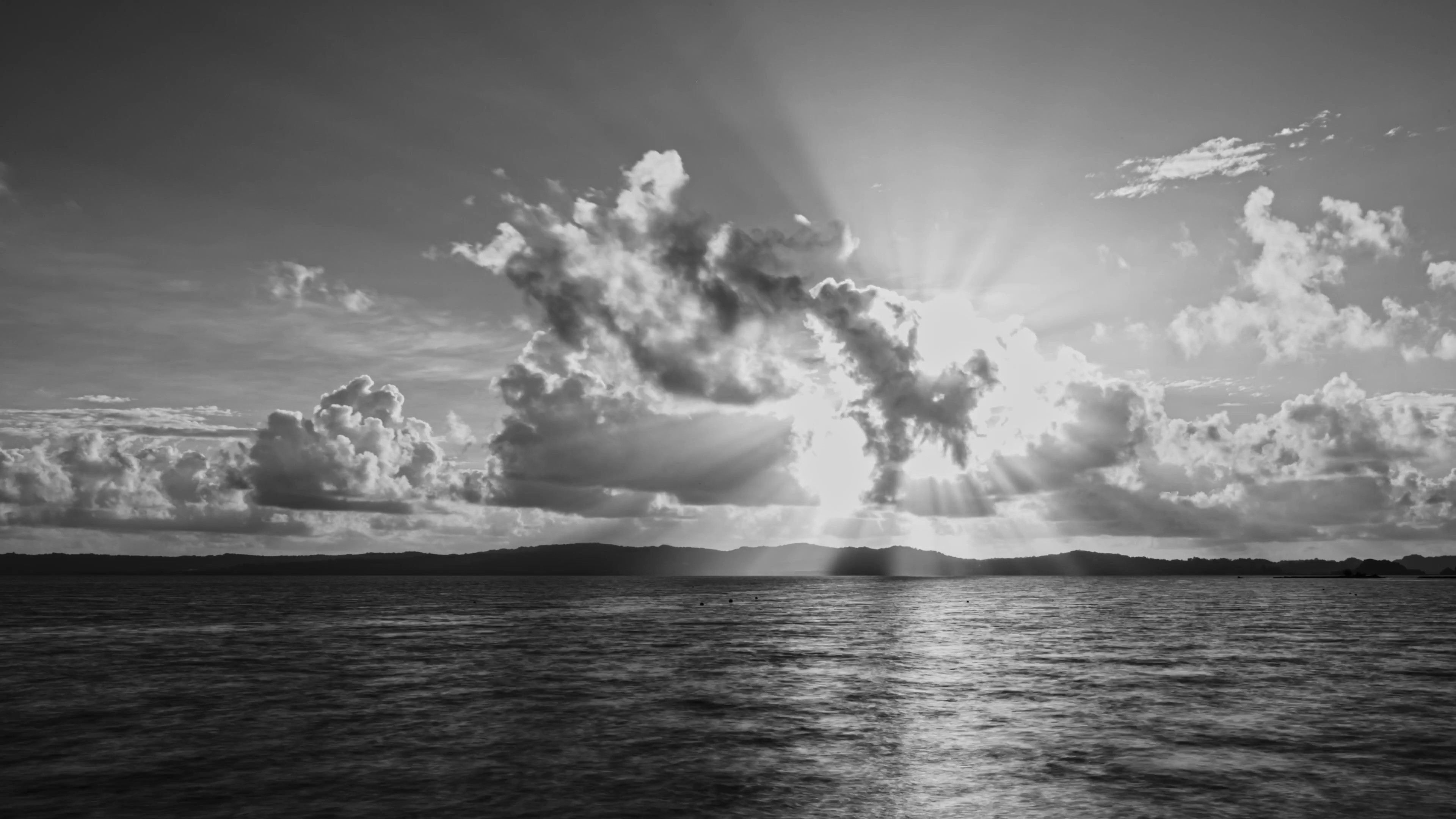 M9AWDA (2022) —  shot,  lighting