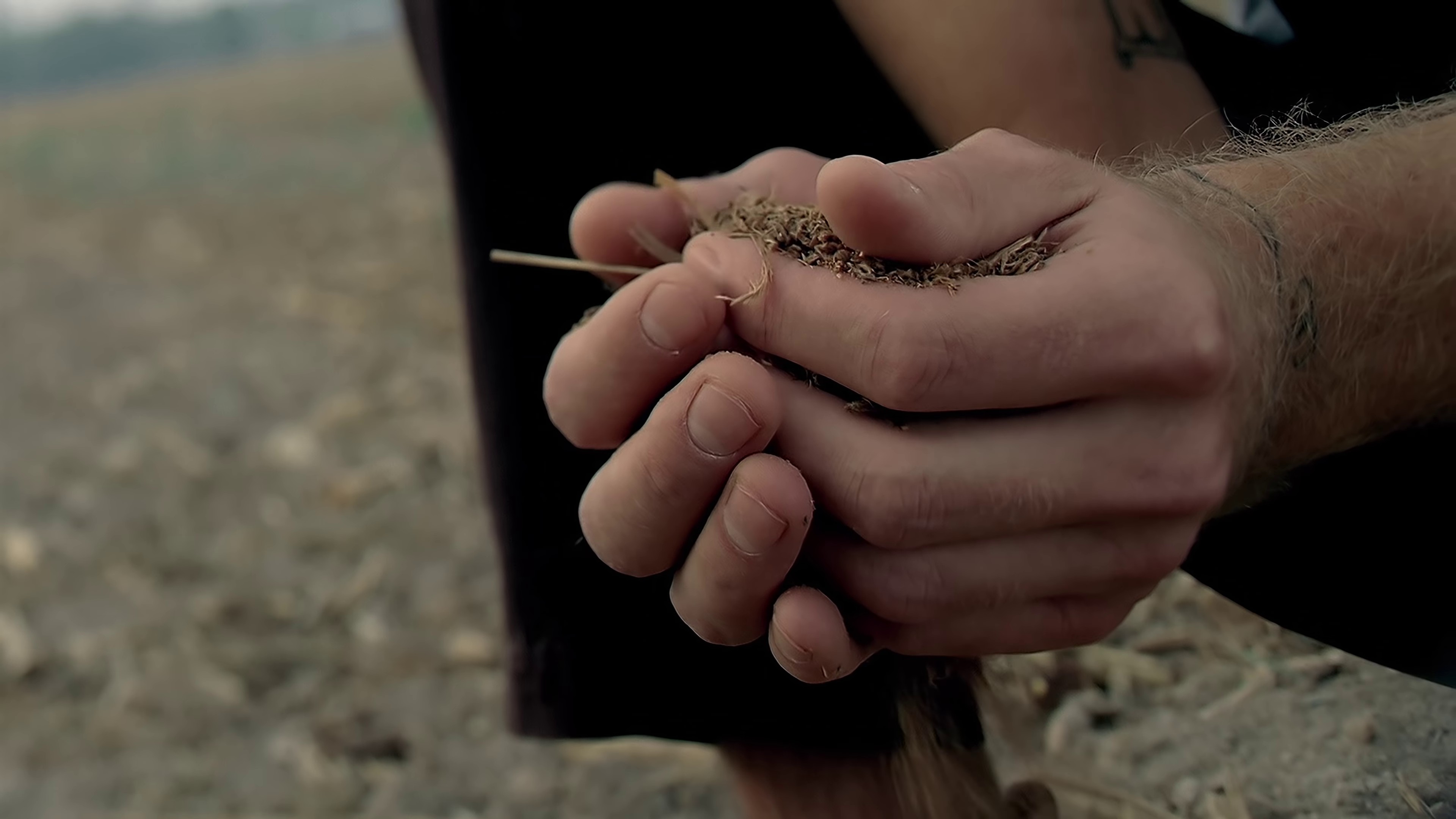 Kiss Goodbye (2010) —  shot,  lighting