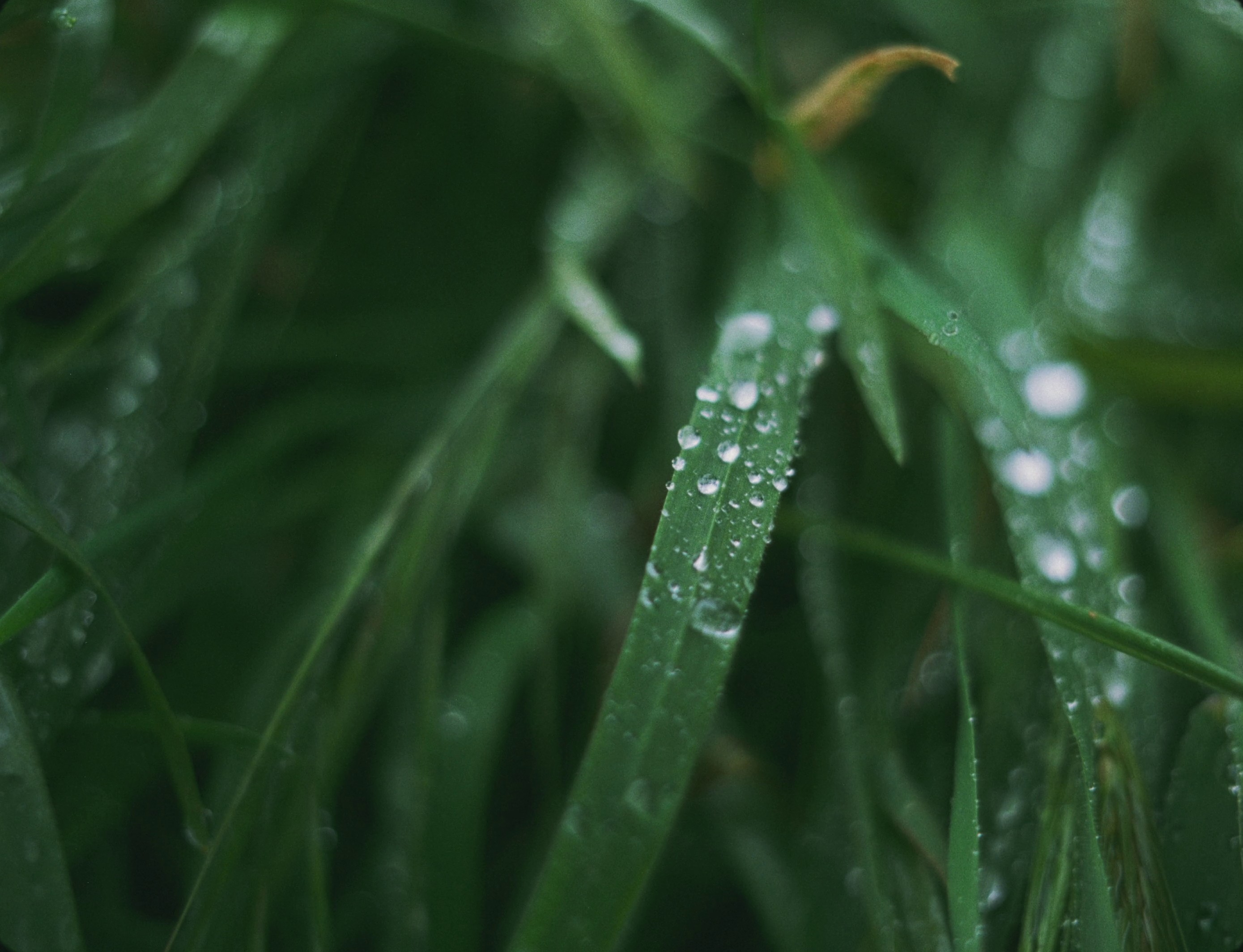 loewe X on | the breath (2024) —  shot,  lighting