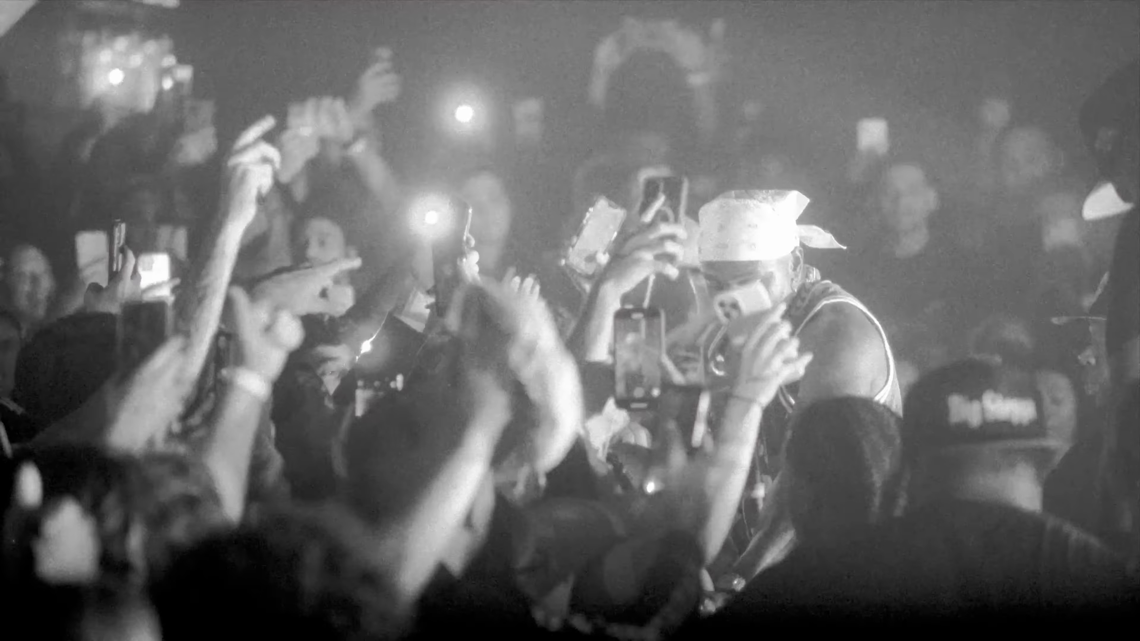 REINTRODUCTION (2024) —  shot,  lighting