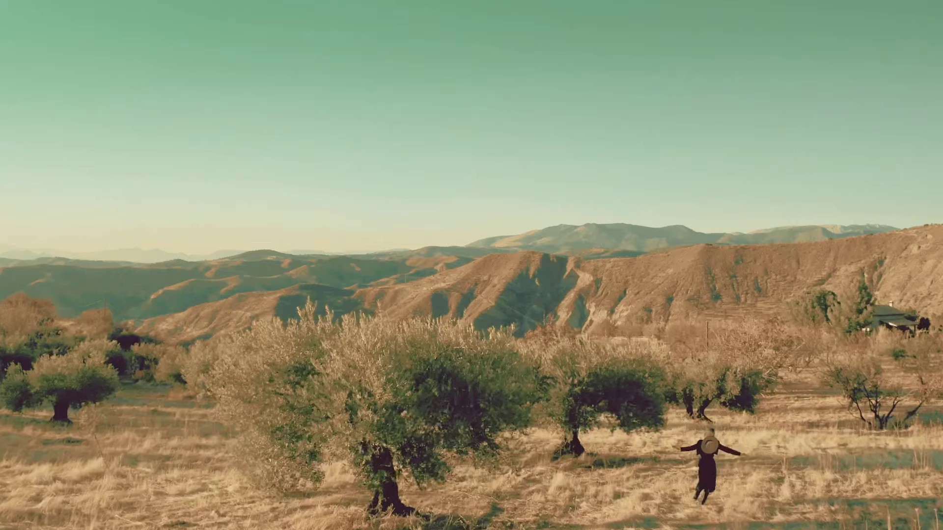 Va (2022) —  shot,  lighting