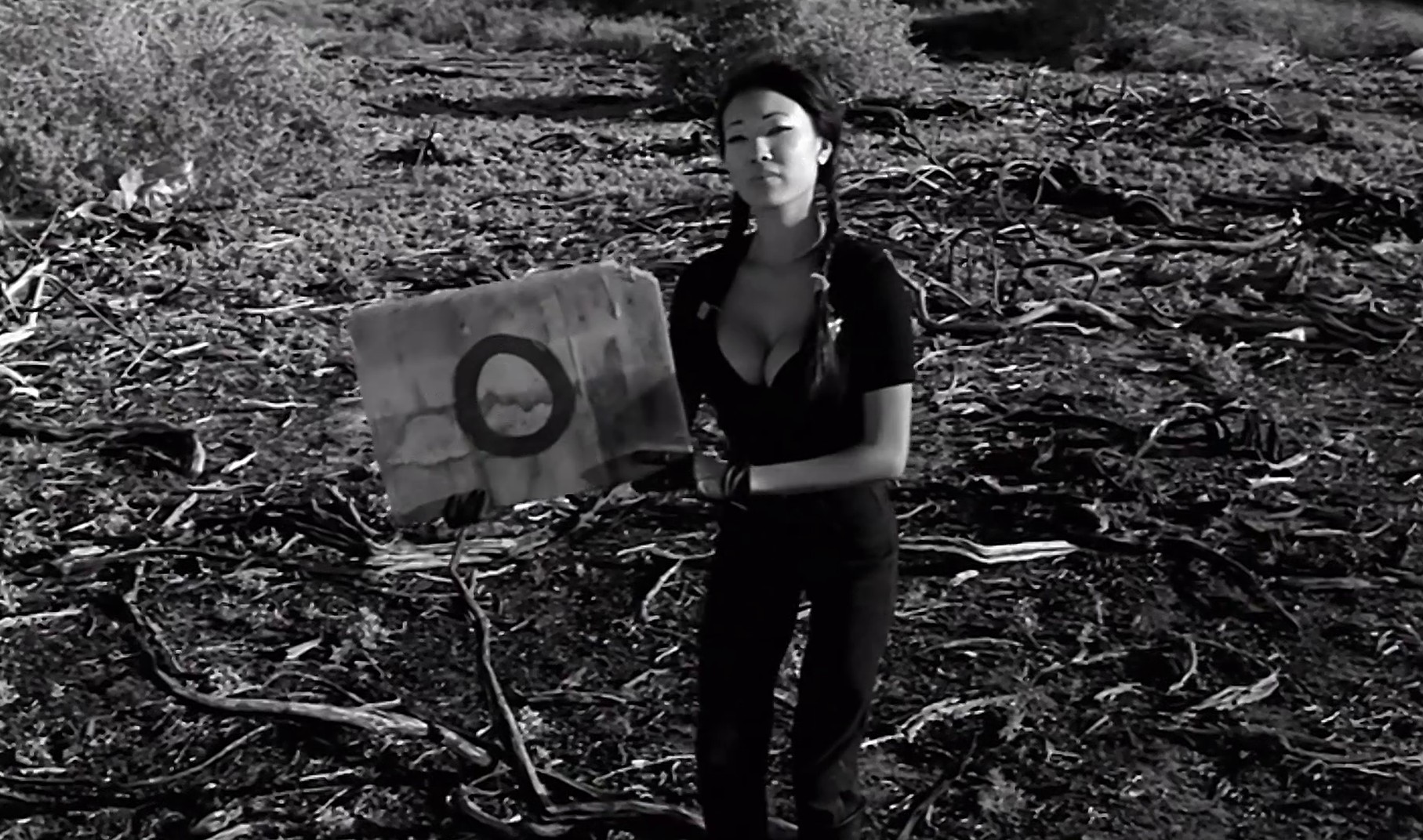 All These Things That I've Done (2009) —  shot,  lighting