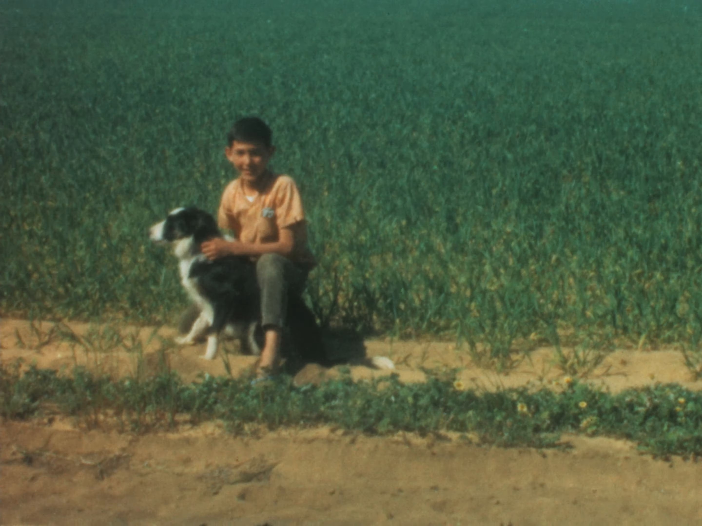 All Your Life (2024) —  shot,  lighting